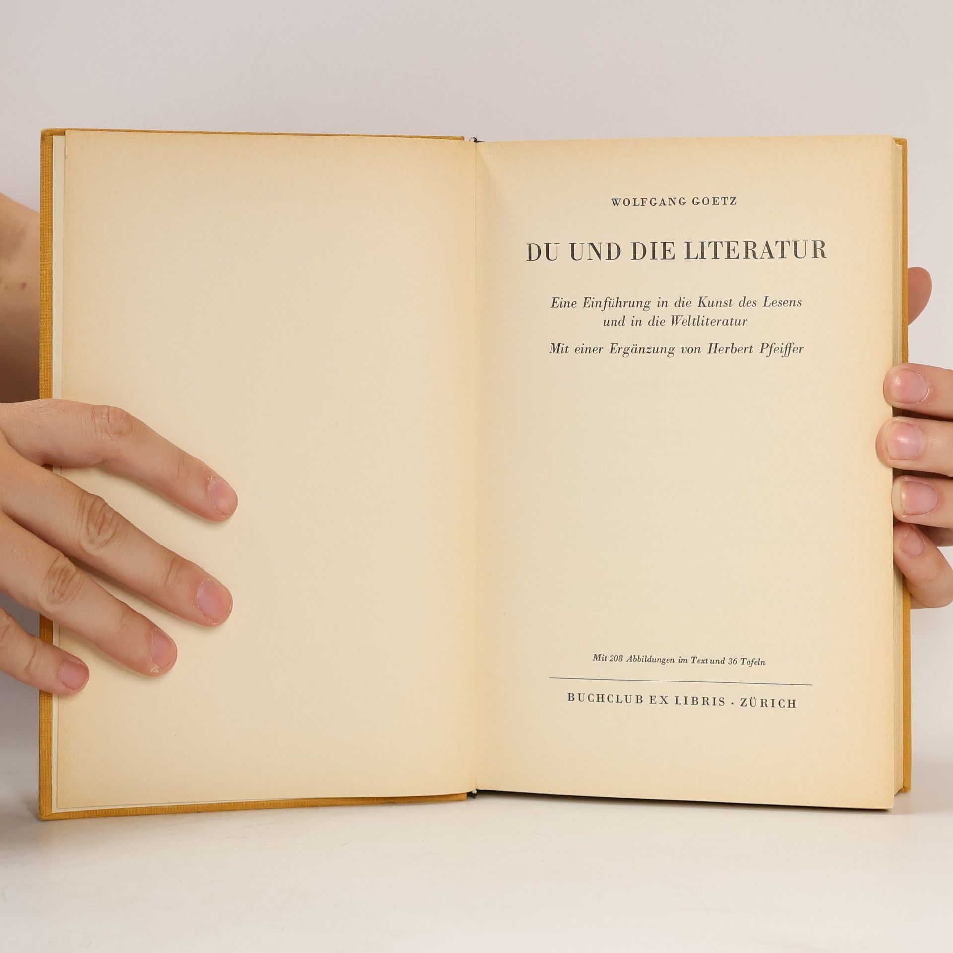 Wolfgang Goetz Du und die Literatur