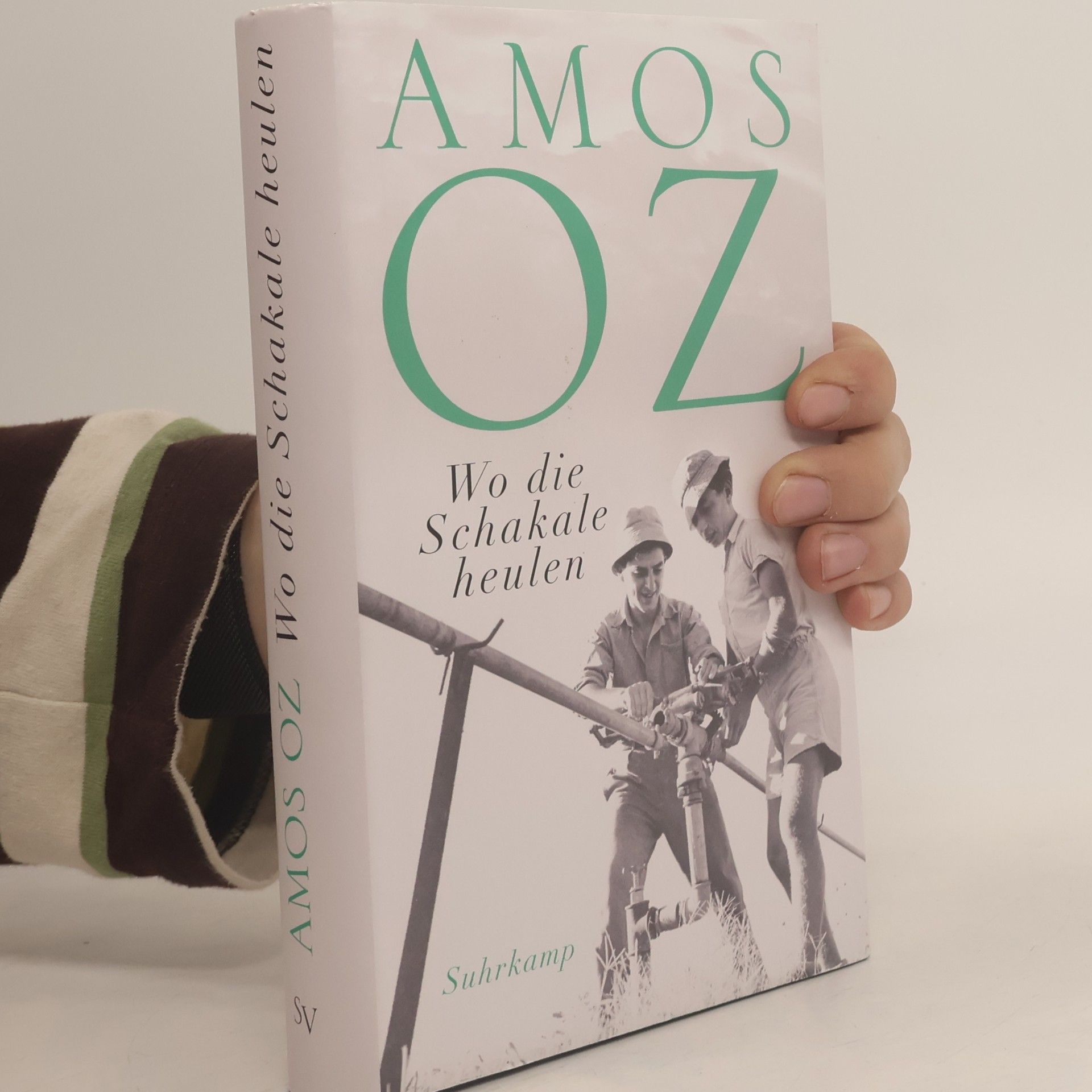 Amos Oz Wo die Schakale heulen