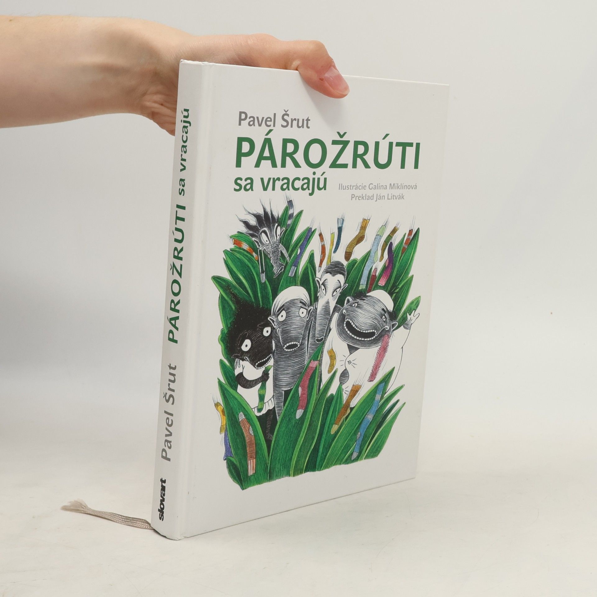 Pavel Šrut Párožrúti sa vracajú