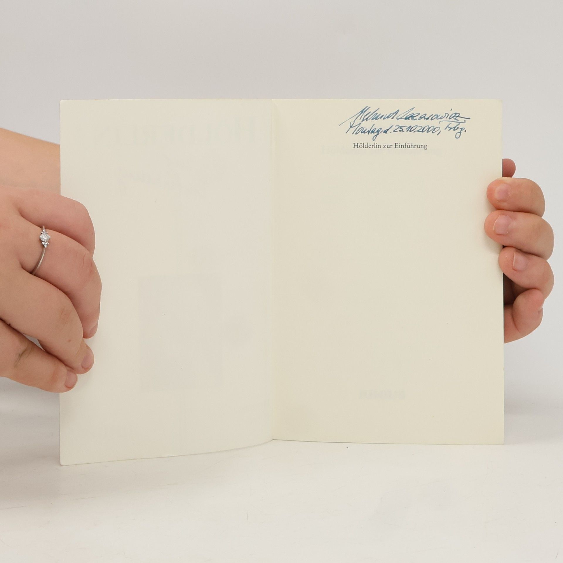 Henning Bothe Hölderlin zur Einführung
