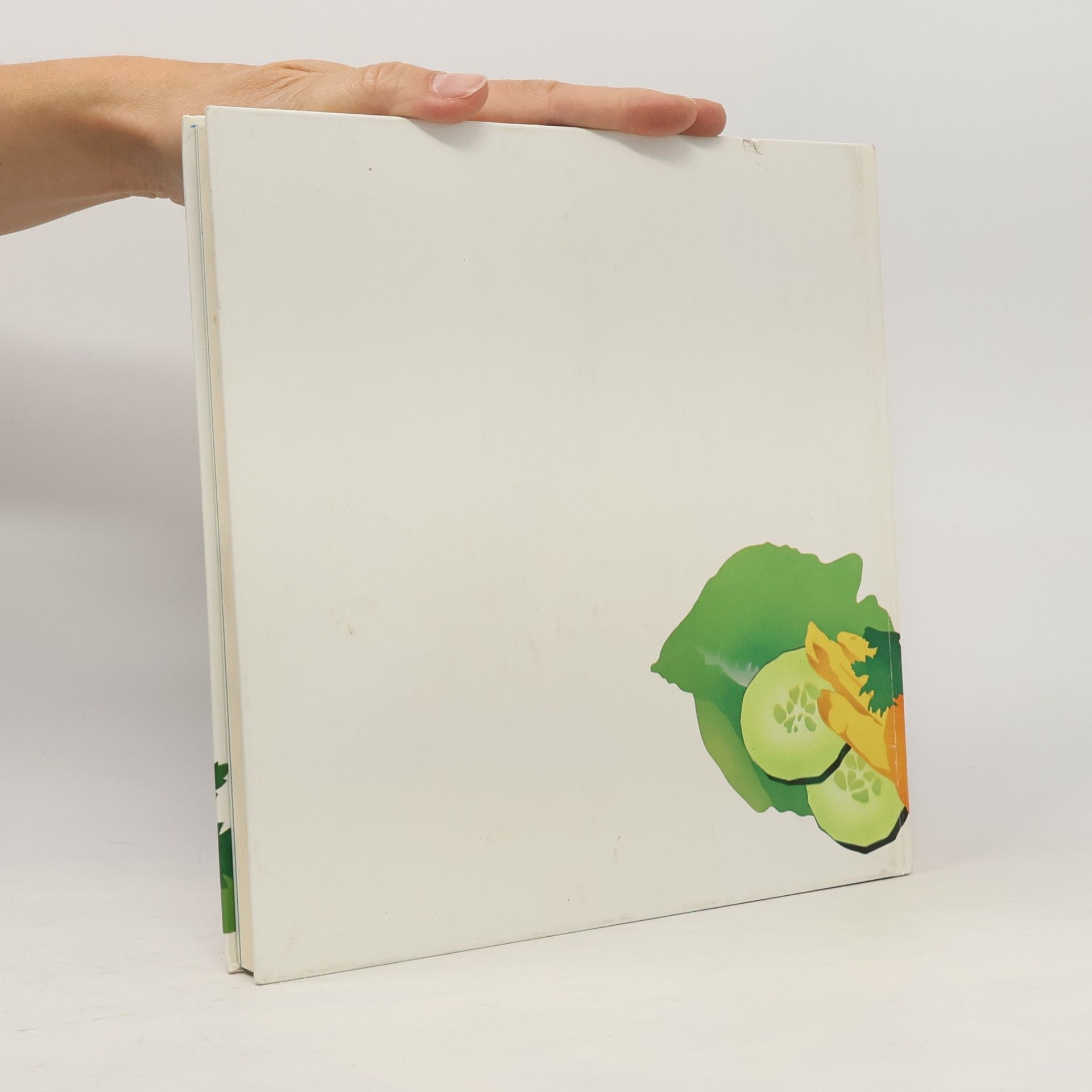 Gisela Allkemper Salate & [und] kalte Platten