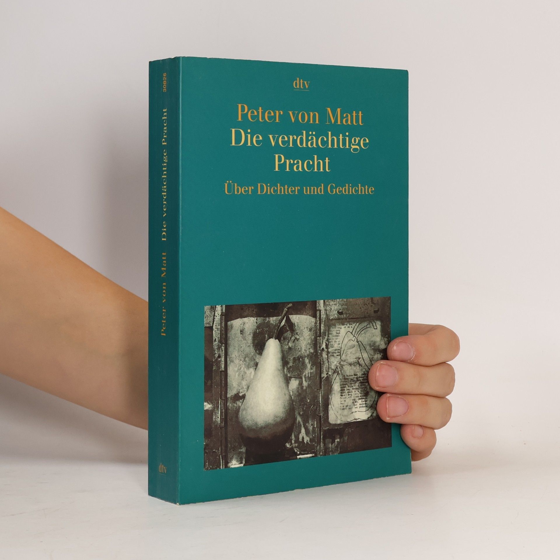 Peter von Matt Die verdächtige Pracht