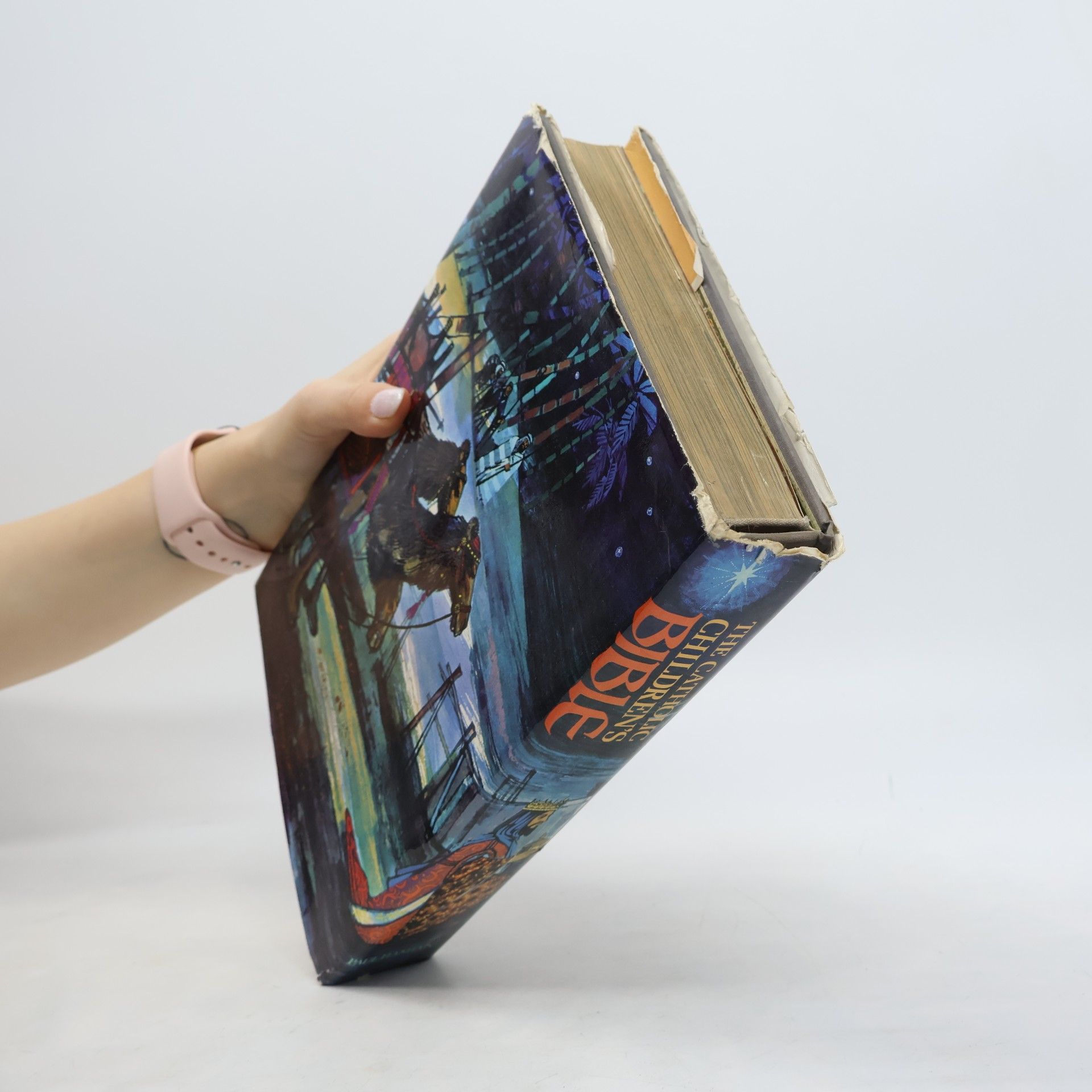 Paul Hamlyn The Catholic Children's Bible in Colour