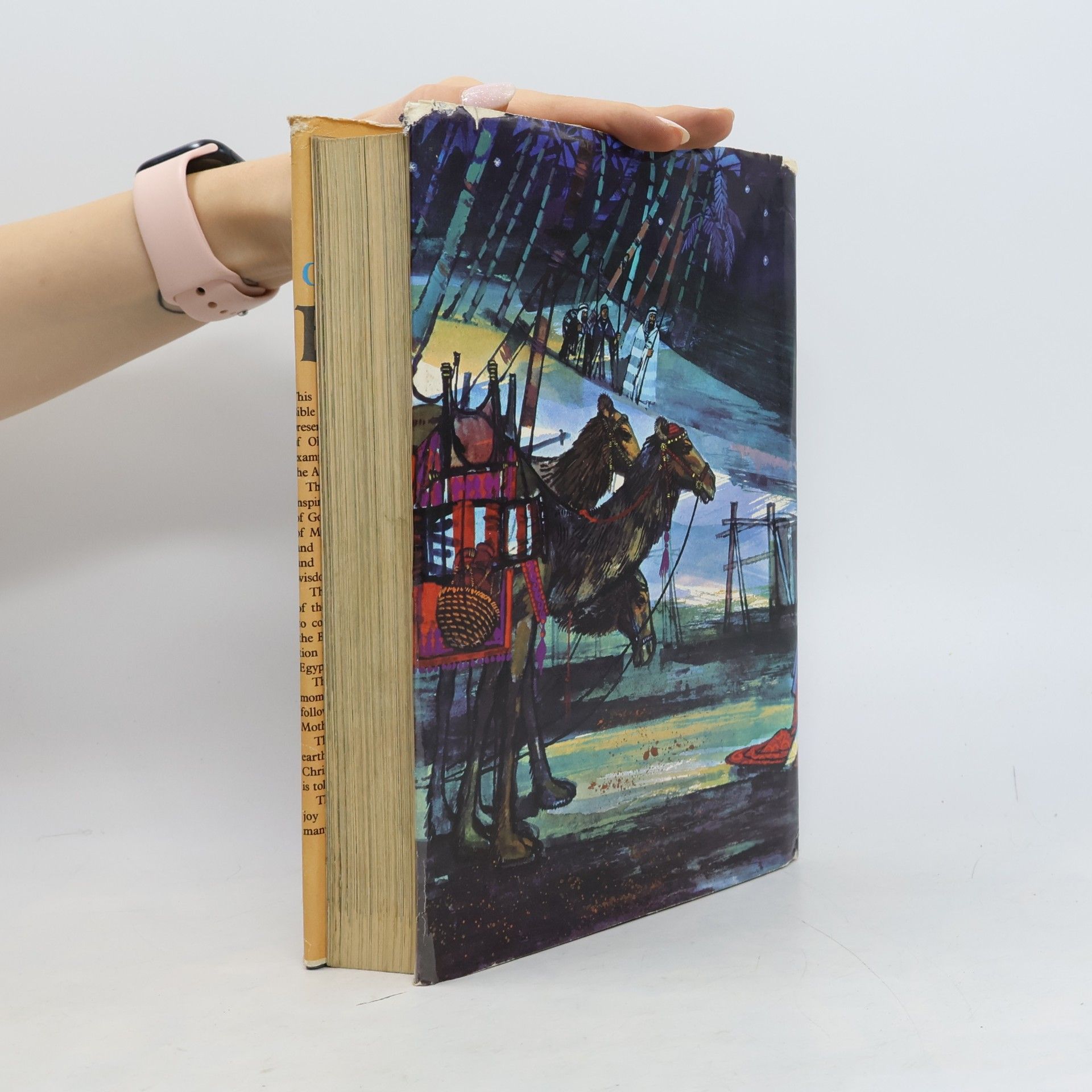 Paul Hamlyn The Catholic Children's Bible in Colour