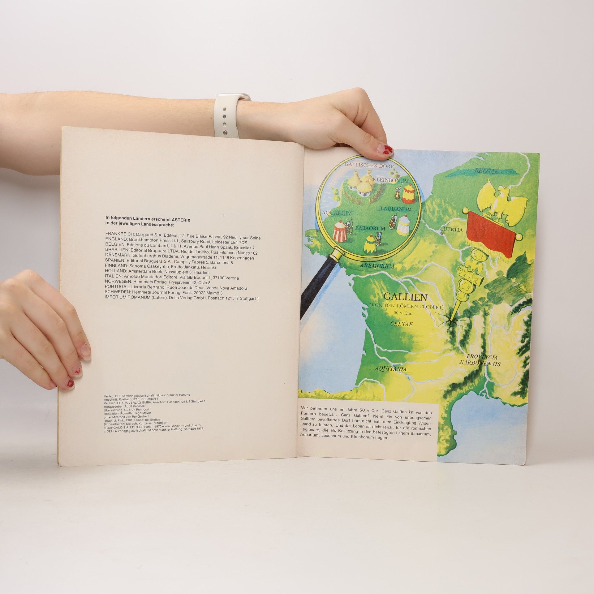 Goscinny Asterix - Band XXII