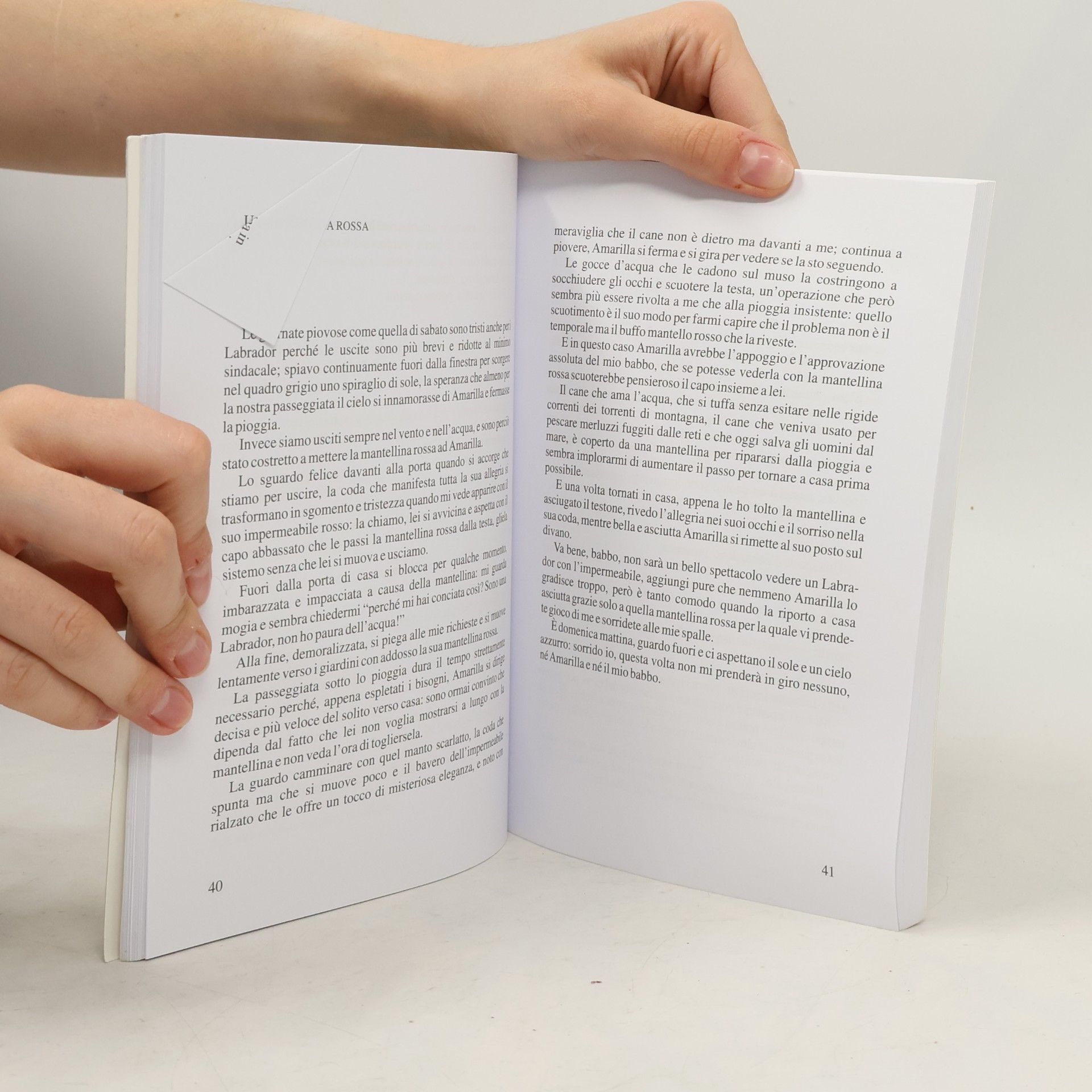 Emanuele Grandi Letteraria - 14: Amarilla. Appunti di un viaggio a sei zampe