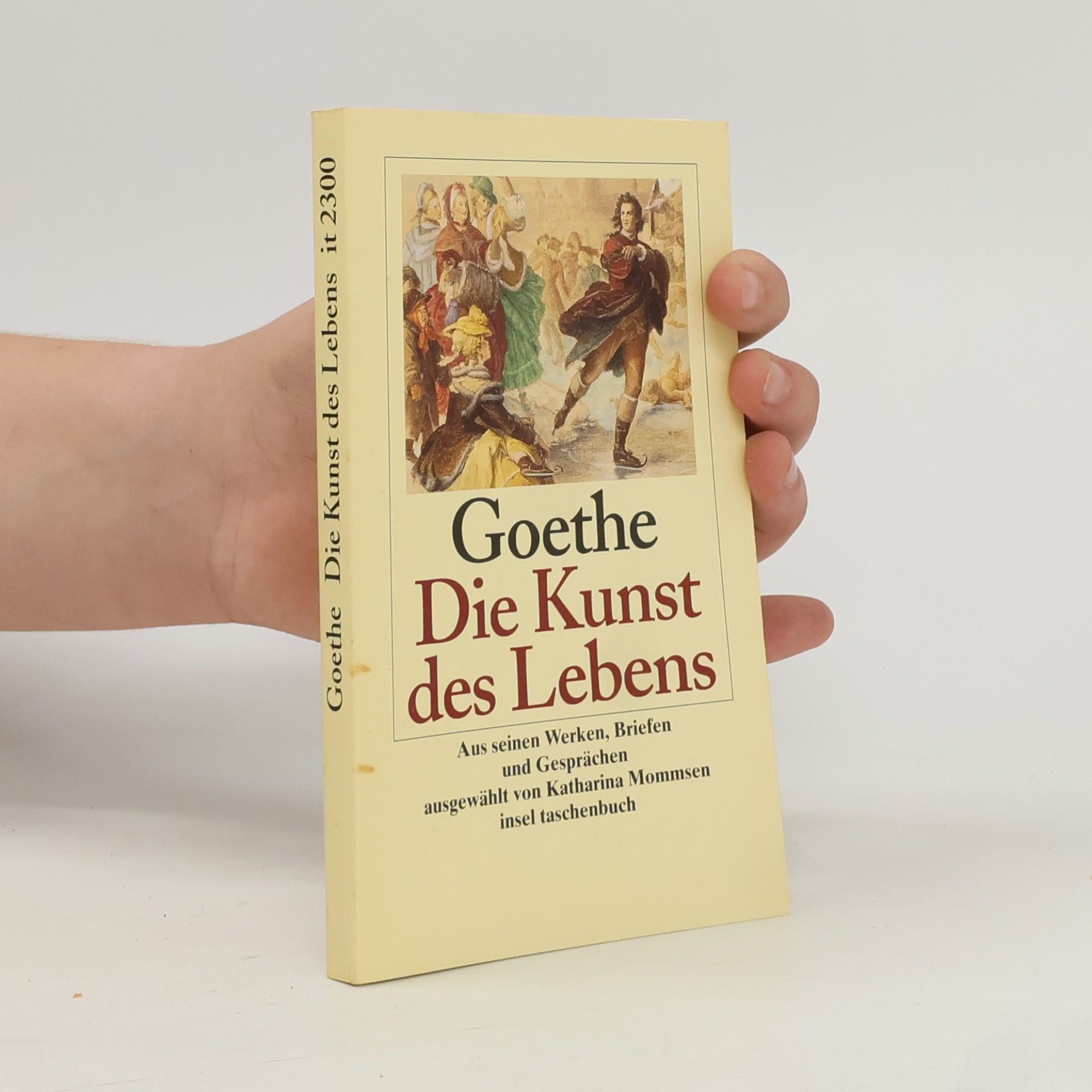 Johann Wolfgang von Goethe Goethe - Die Kunst des Lebens