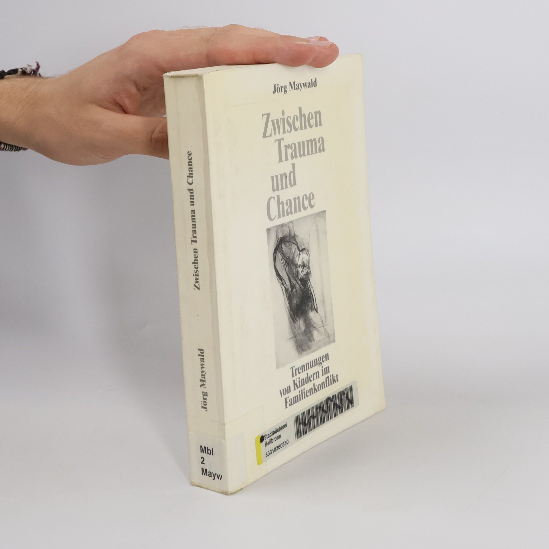 Jörg Maywald Zwischen Trauma und Chance