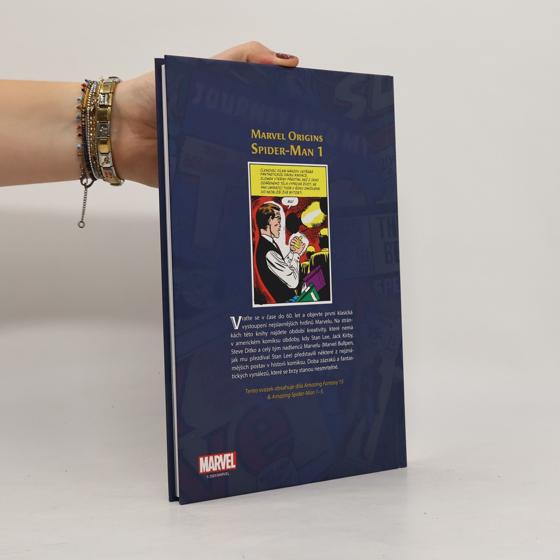 Stan Lee Marvel Origins