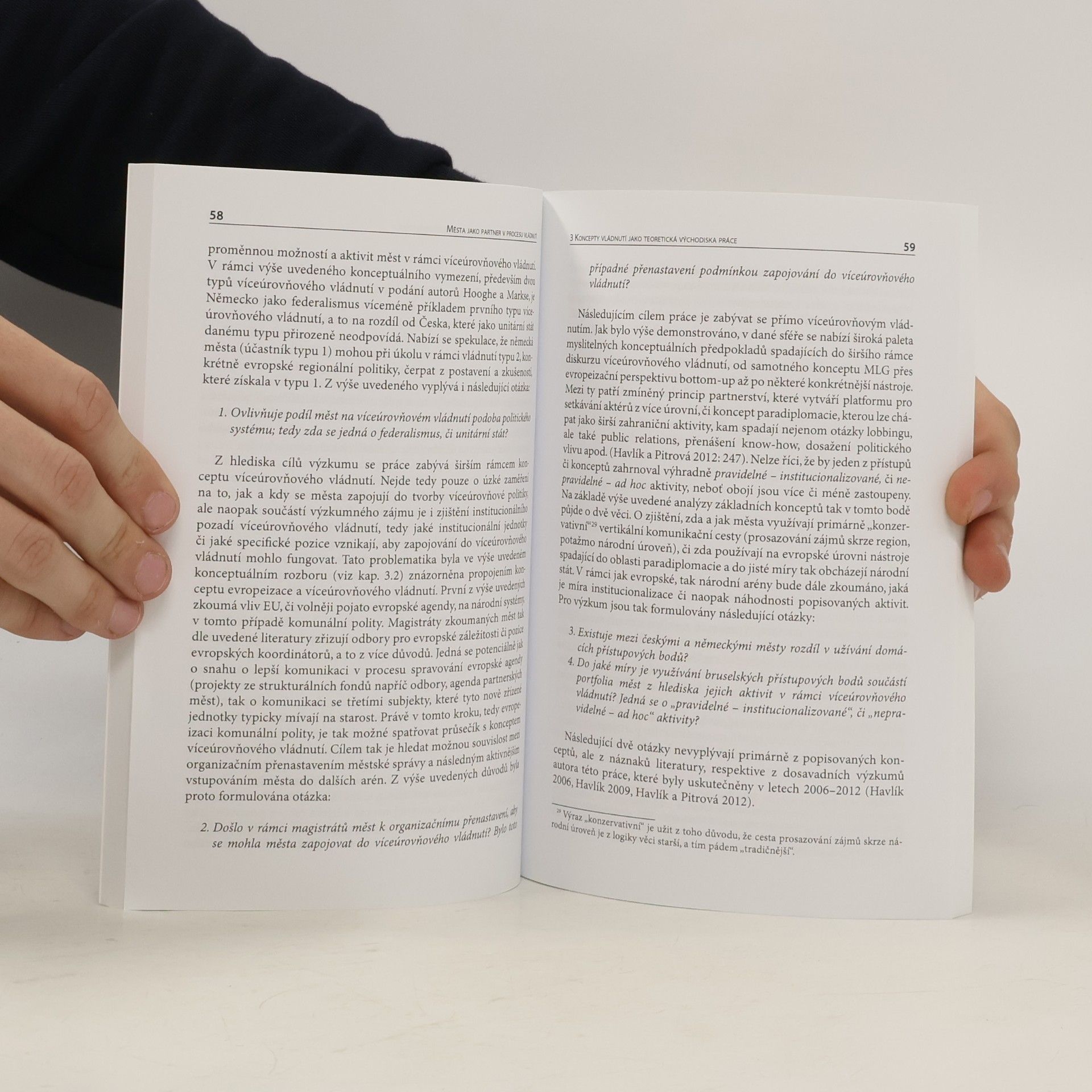 Vratislav Havlík Mesta jako partner v procesu vládnutí : prípad ceských a nemeckých mest