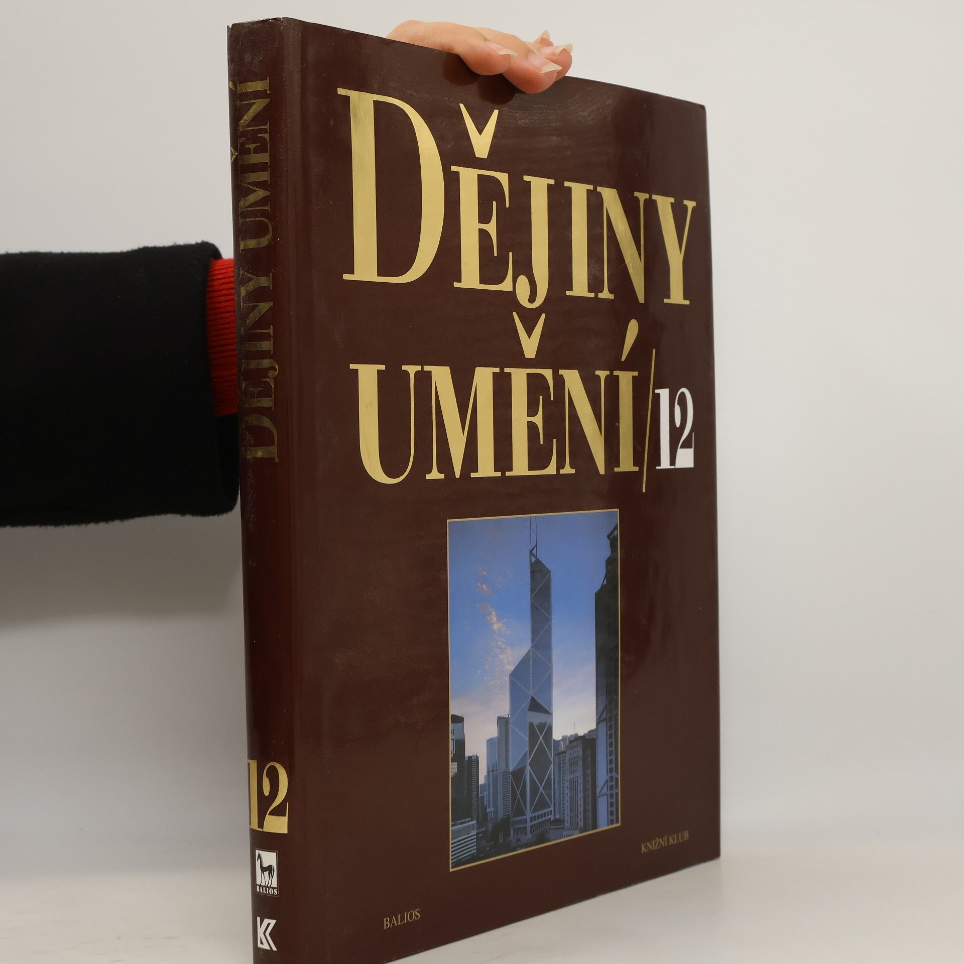 Dějiny umění 12