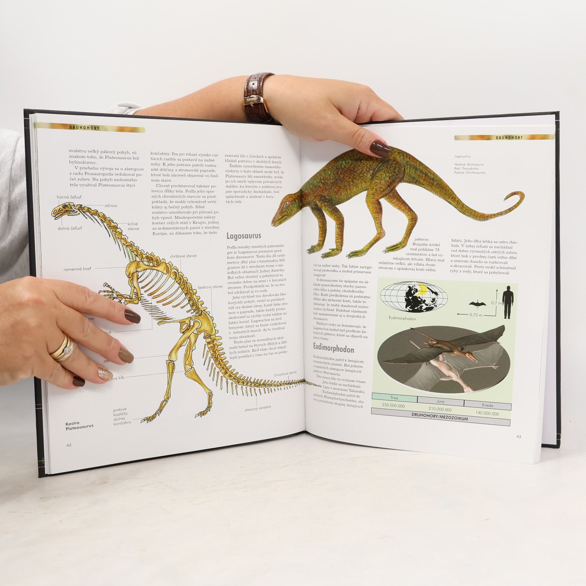 Autorenkollektiv Dinosaury