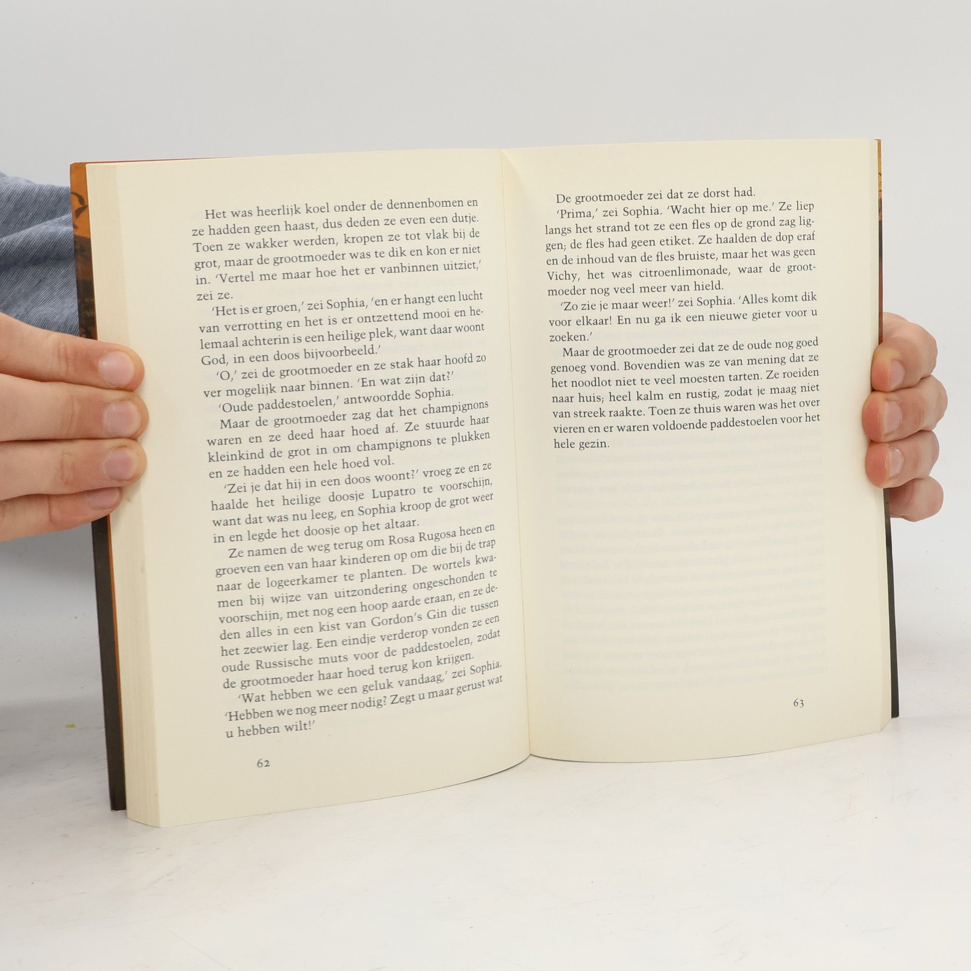 Tove Jansson Zomerboek