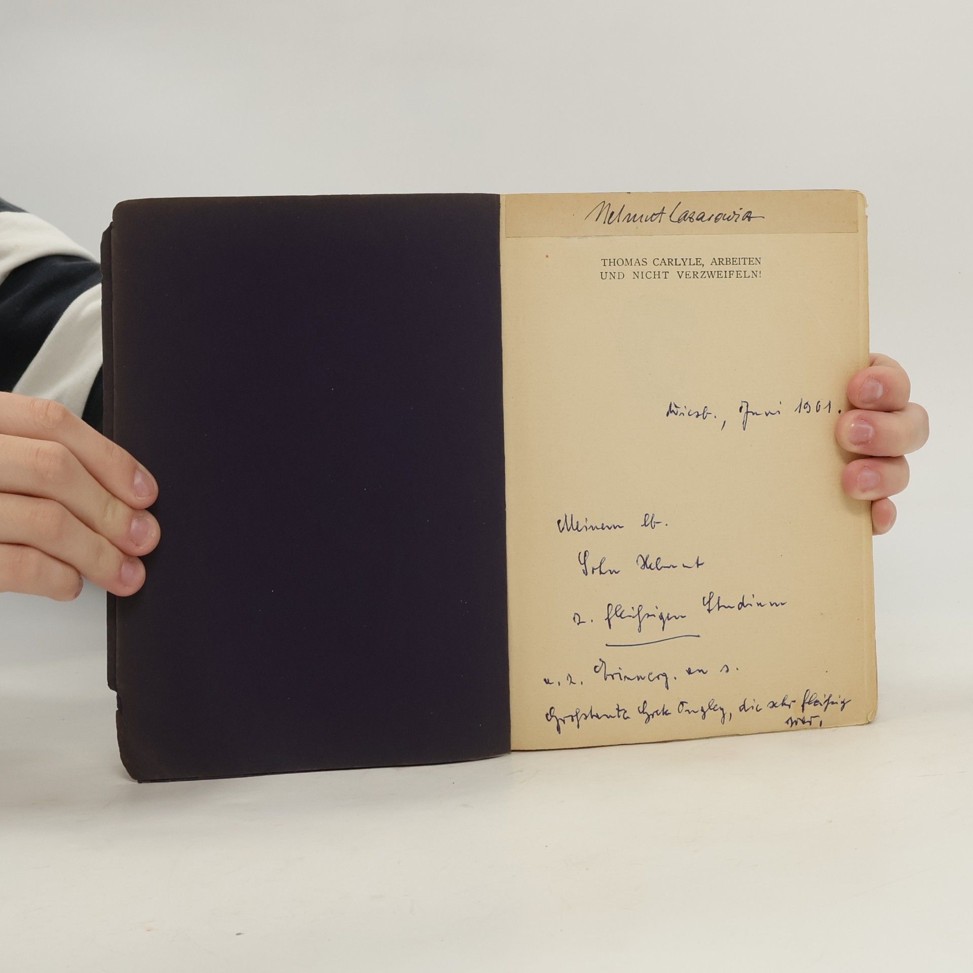 Thomas Carlyle Arbeiten und nicht verzweifeln