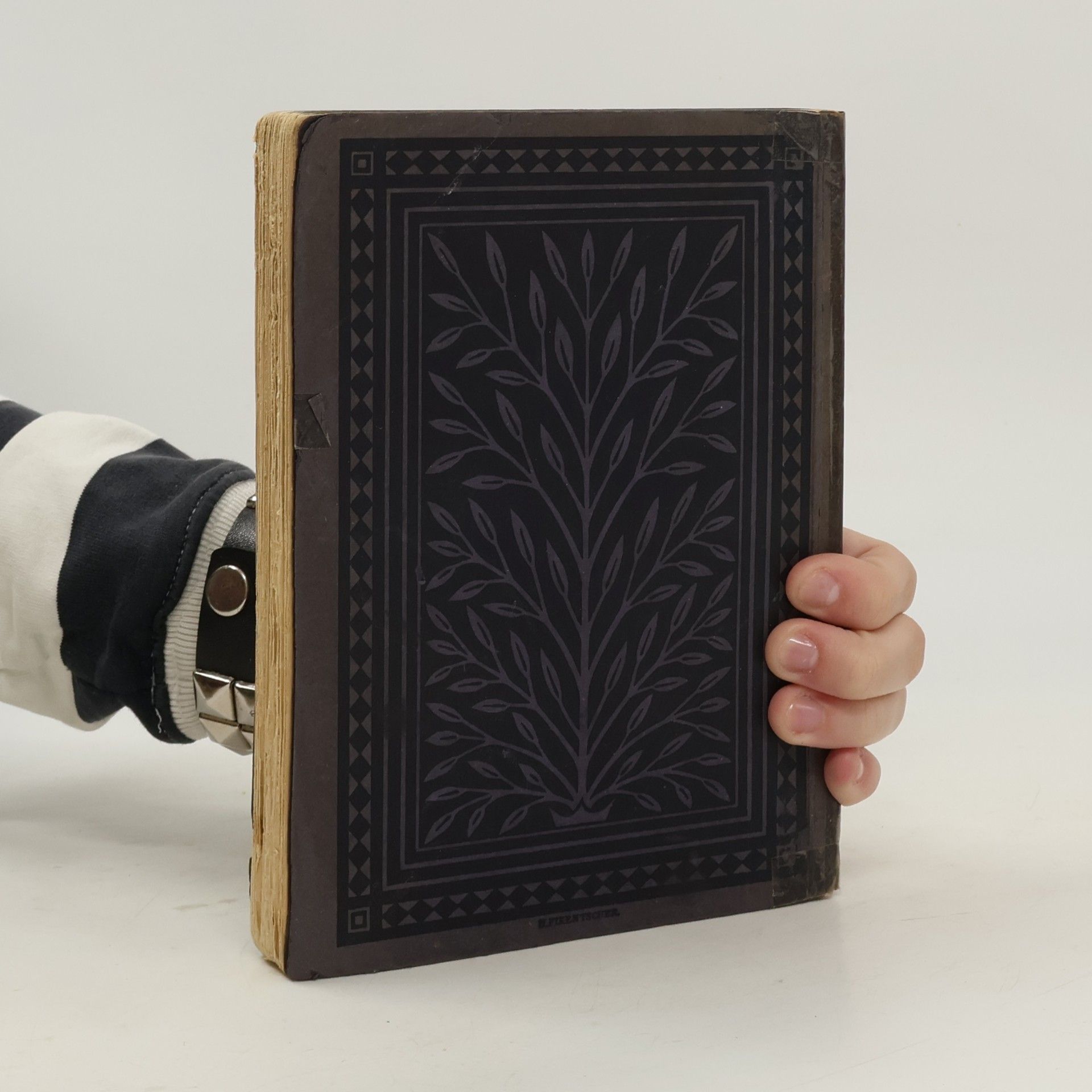 Thomas Carlyle Arbeiten und nicht verzweifeln