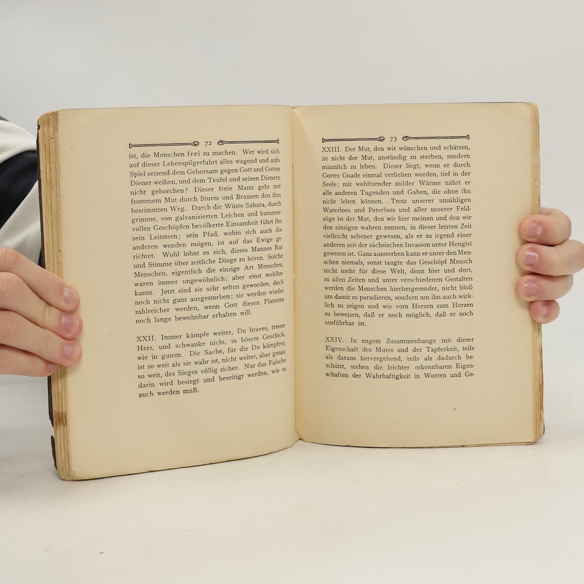 Thomas Carlyle Arbeiten und nicht verzweifeln