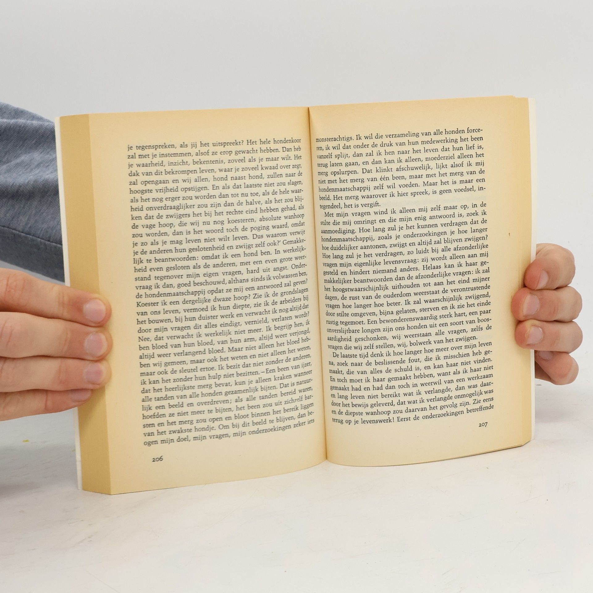 Franz Kafka Bij de bouw van de Chinese muur en andere verhalen