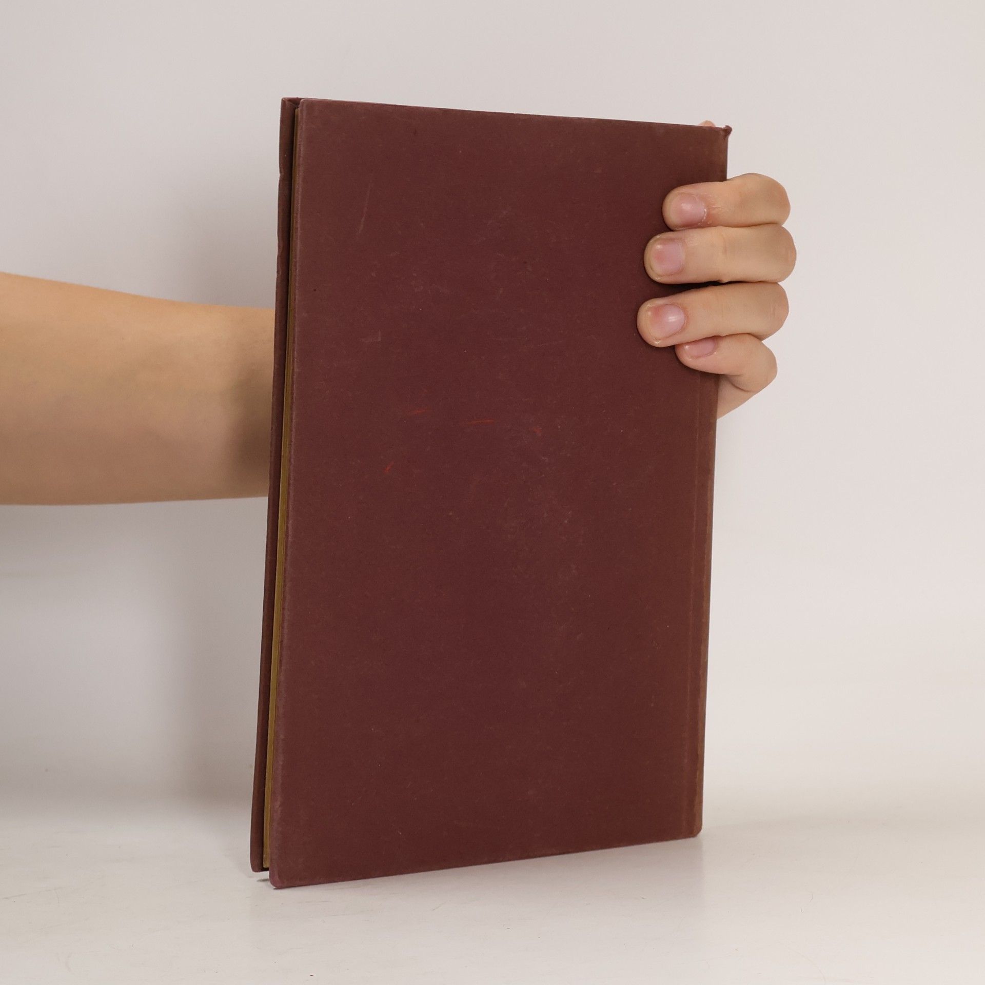 Various authors Soziale Zukunft