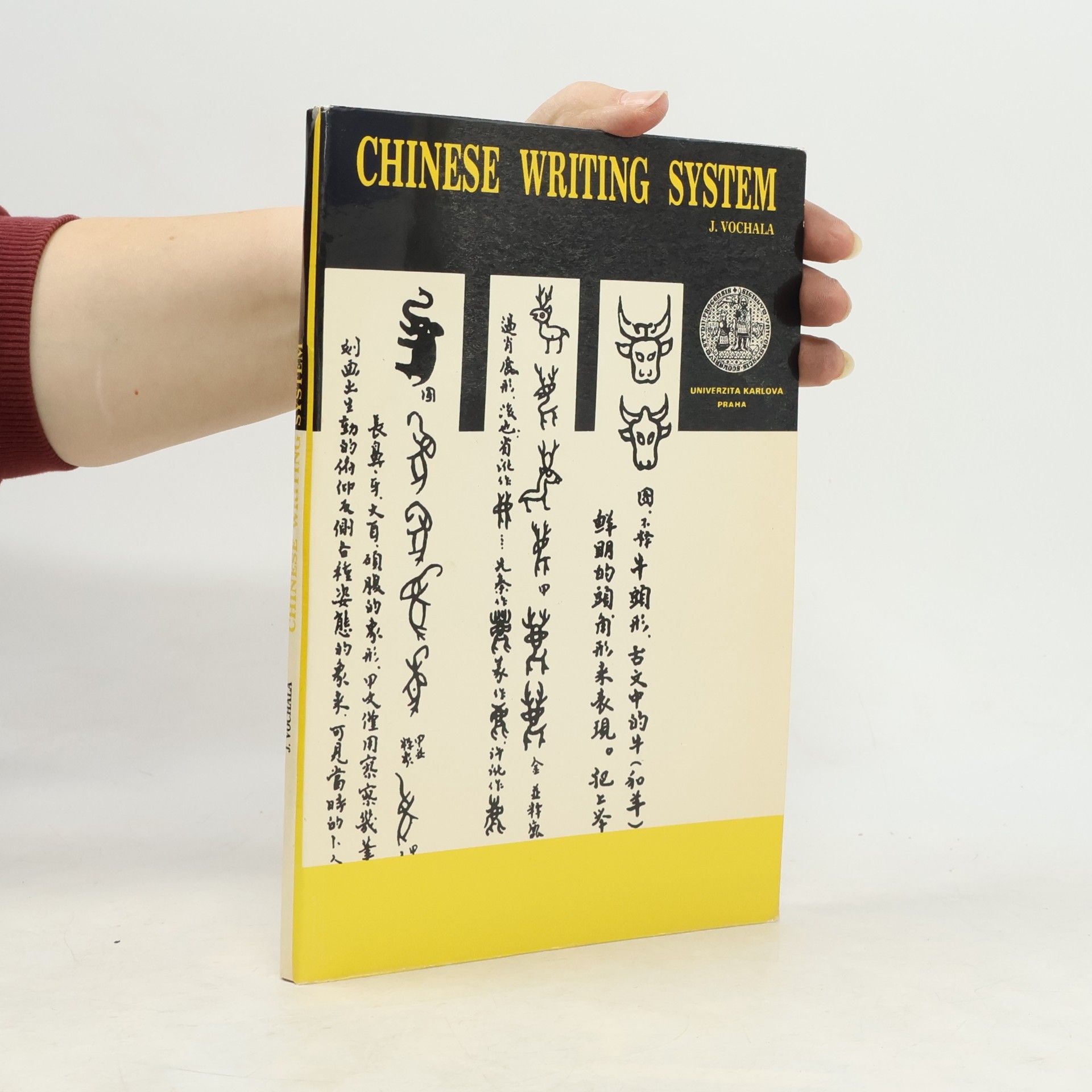 Jaromír Vochala Chinese Writing System