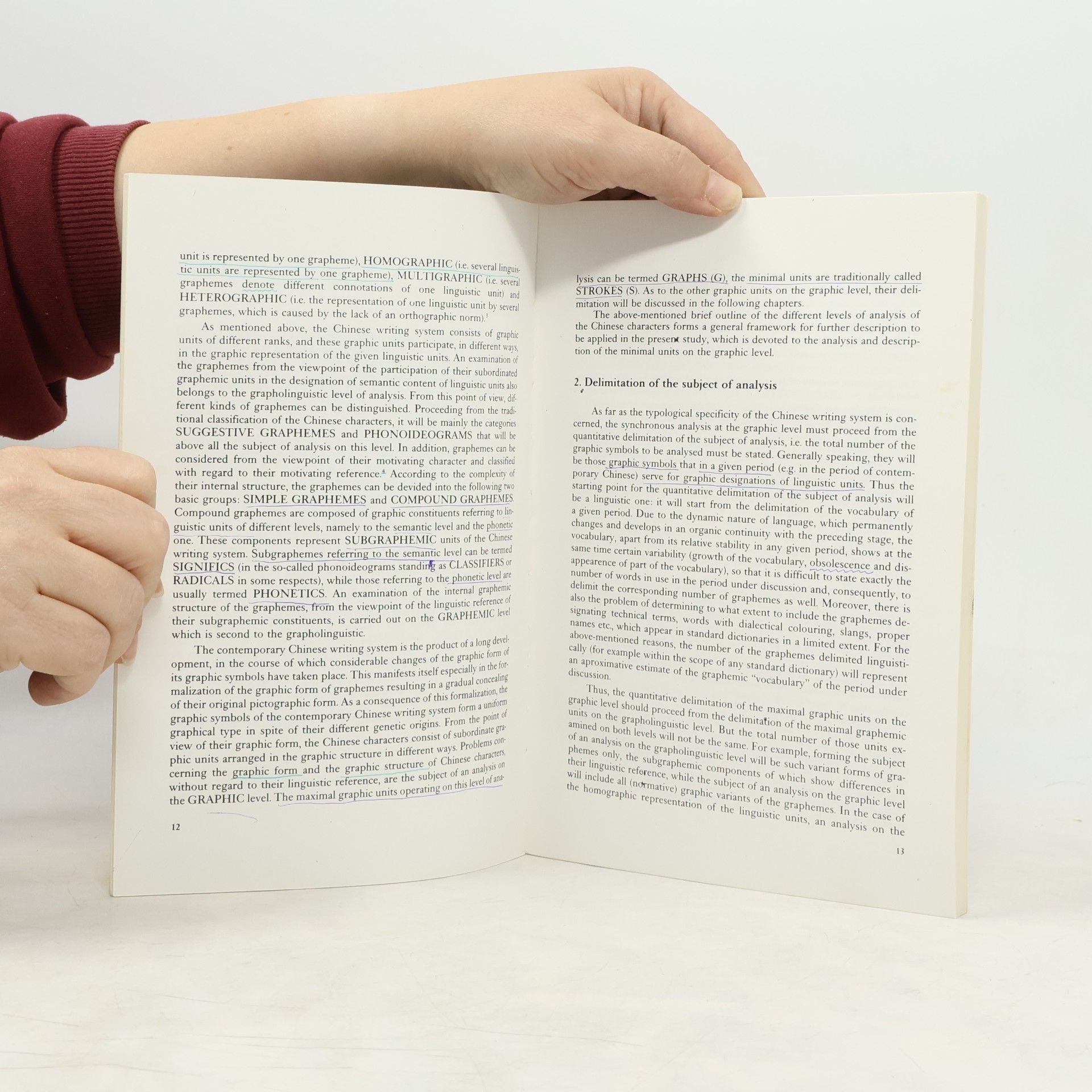 Jaromír Vochala Chinese Writing System