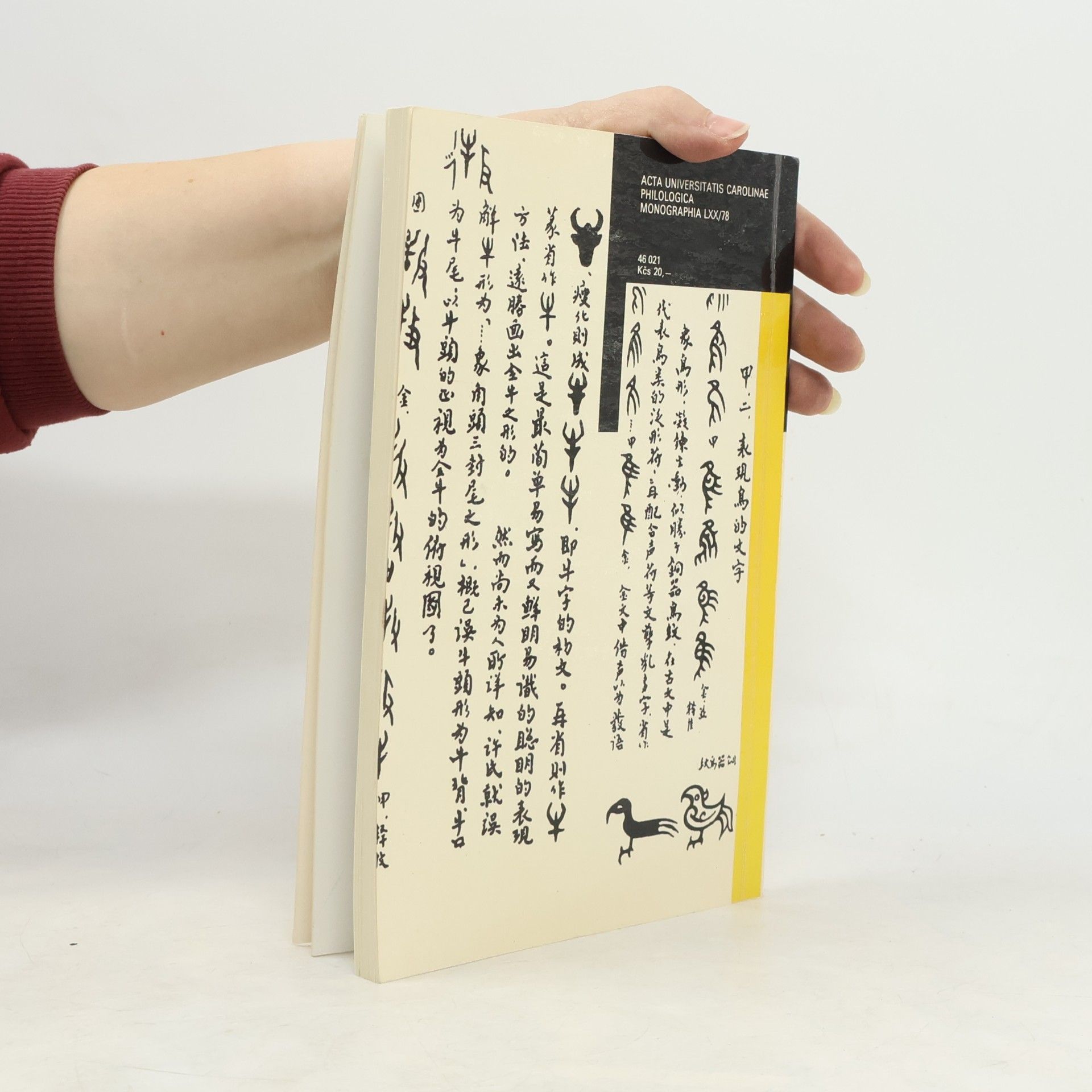Jaromír Vochala Chinese Writing System