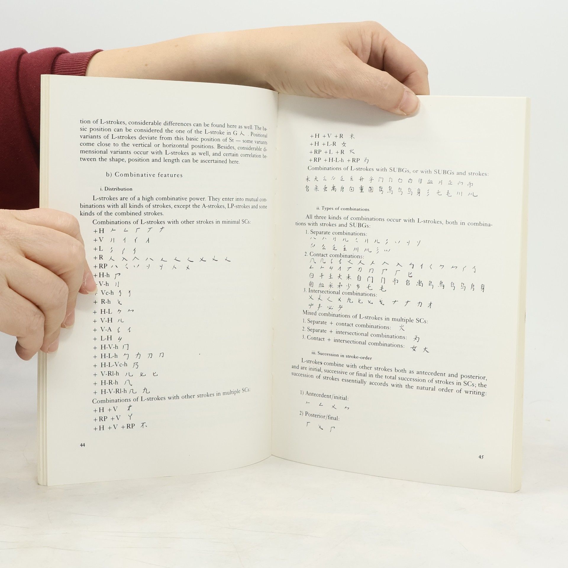 Jaromír Vochala Chinese Writing System