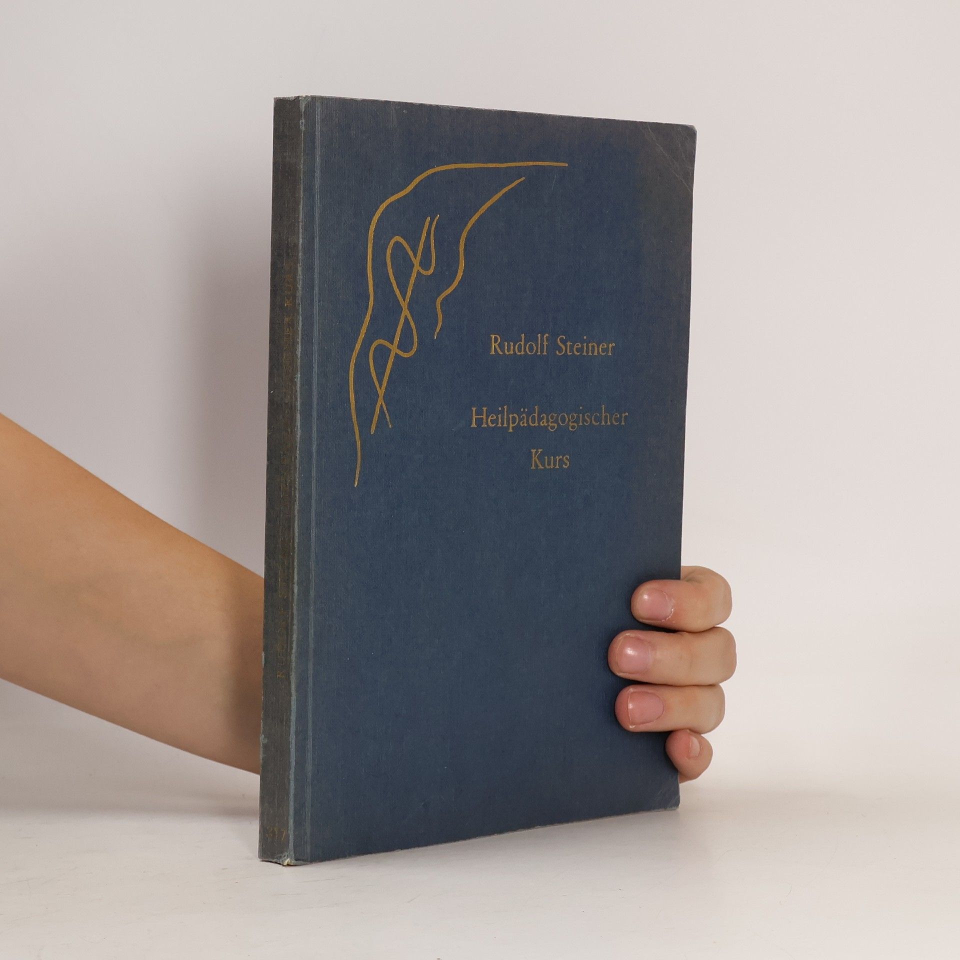 Heilpädagogischer Kurs