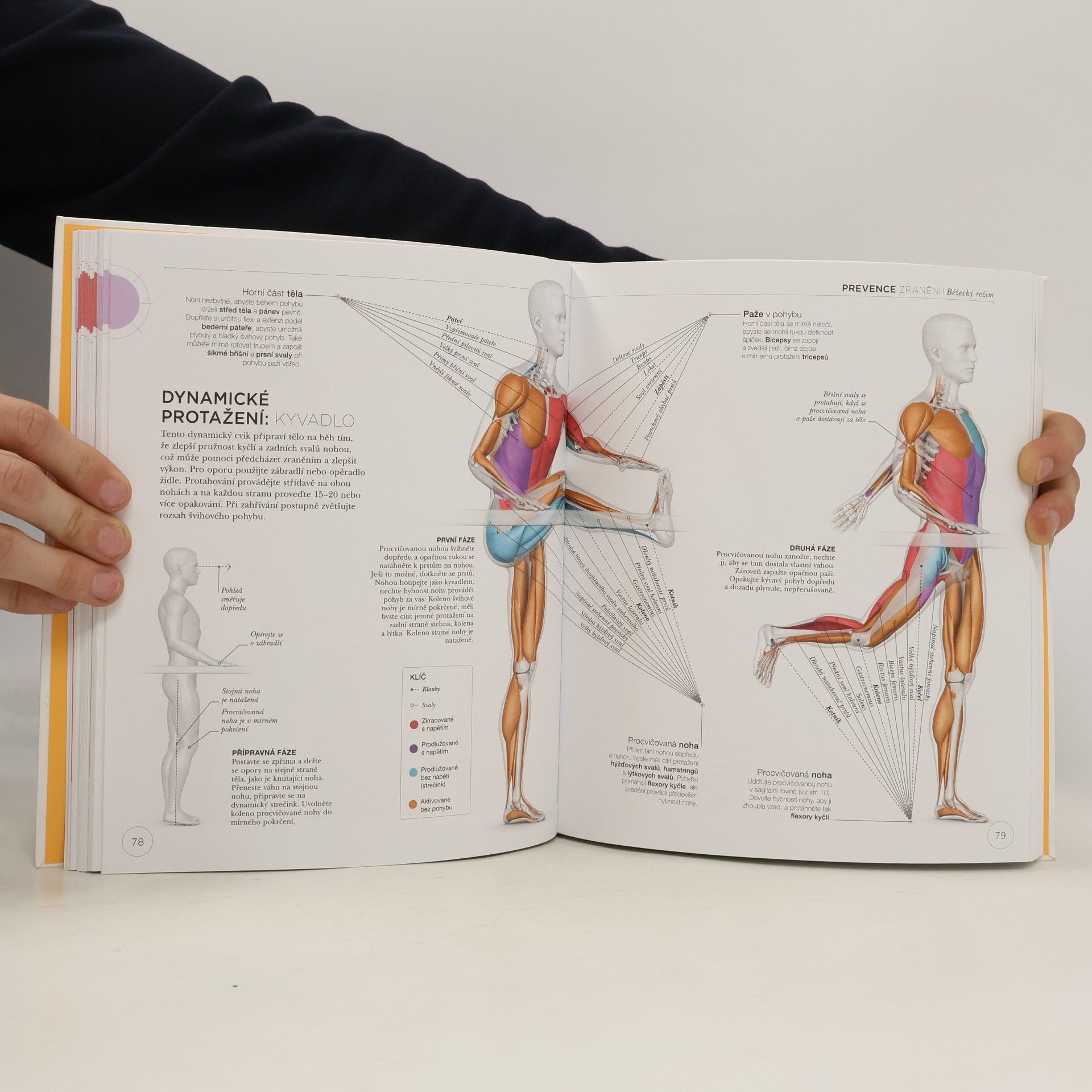 Chris Napier Běh z pohledu anatomie : pochopte fungování těla pro lepší a účinnější cvičení