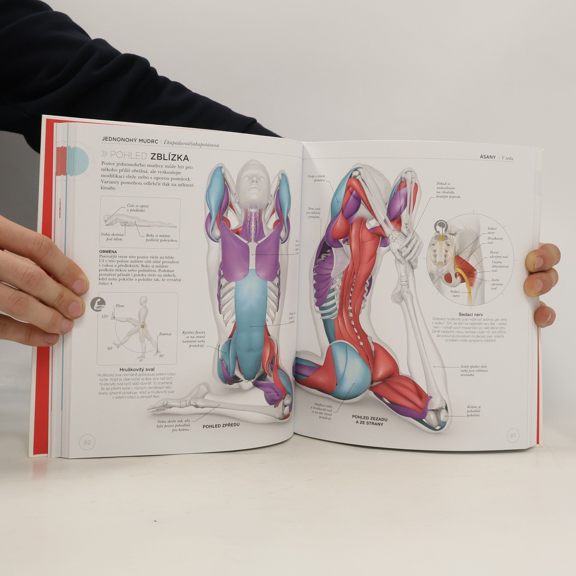 Ann Swanson Jóga z pohledu anatomie