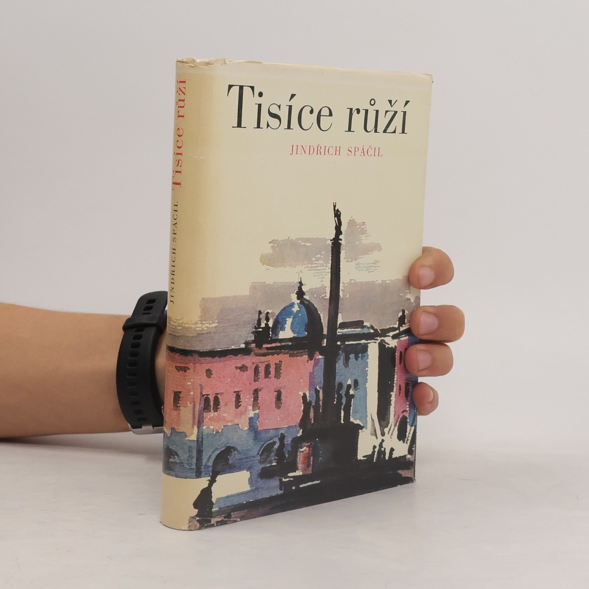 Tisíce růží