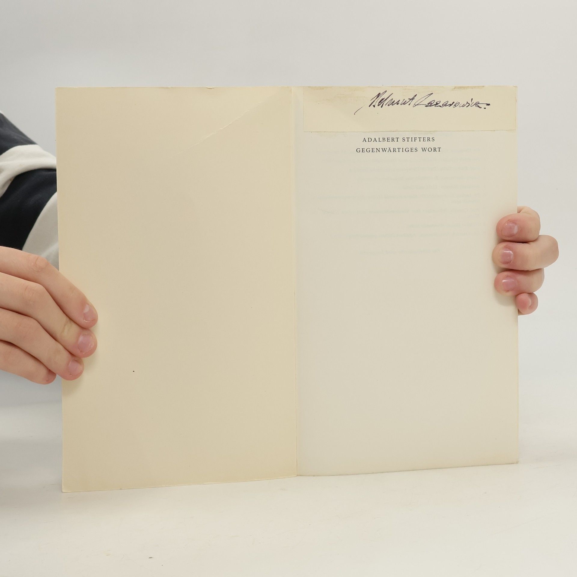 Heinrich Teutschmann Adalbert Stifters gegenwärtiges Wort