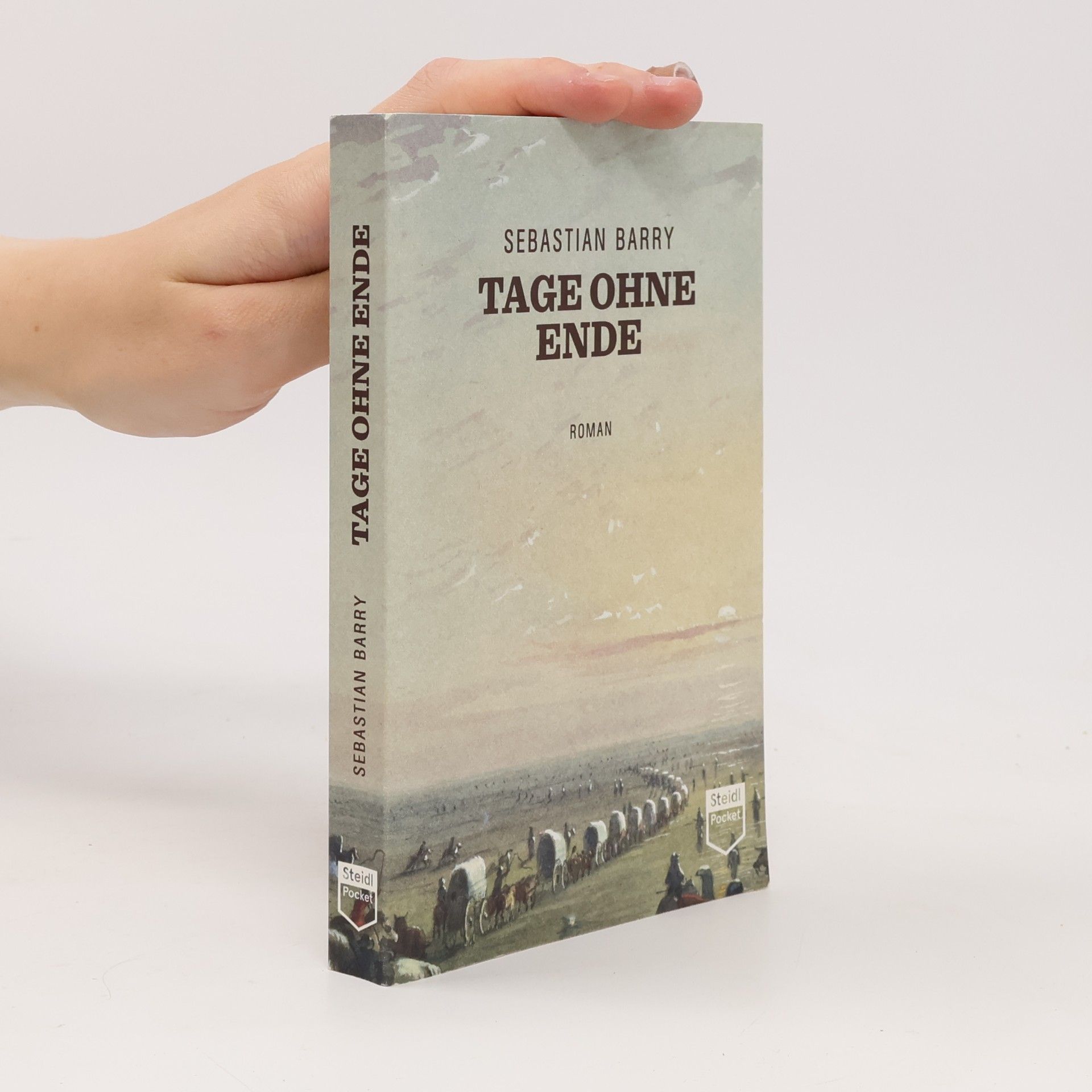 Sebastian Barry Tage ohne Ende