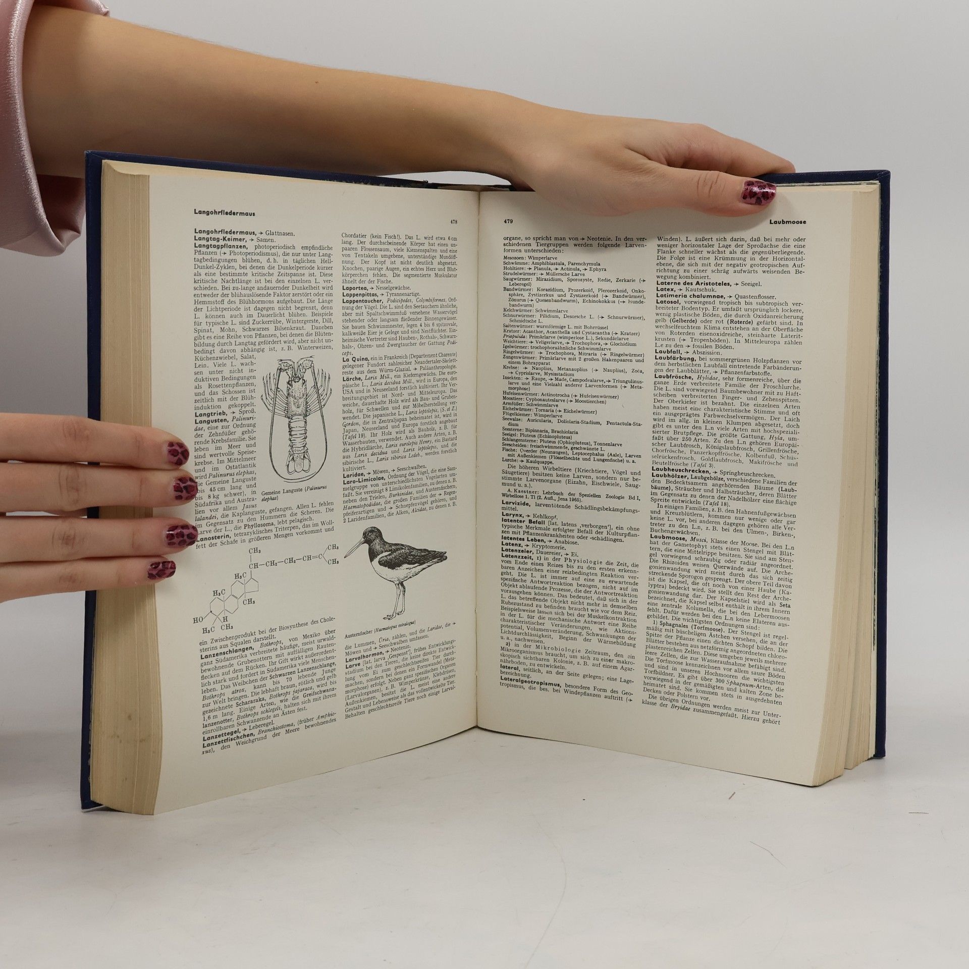 Gerhard Dietrich Fachlexikon ABC Biologie