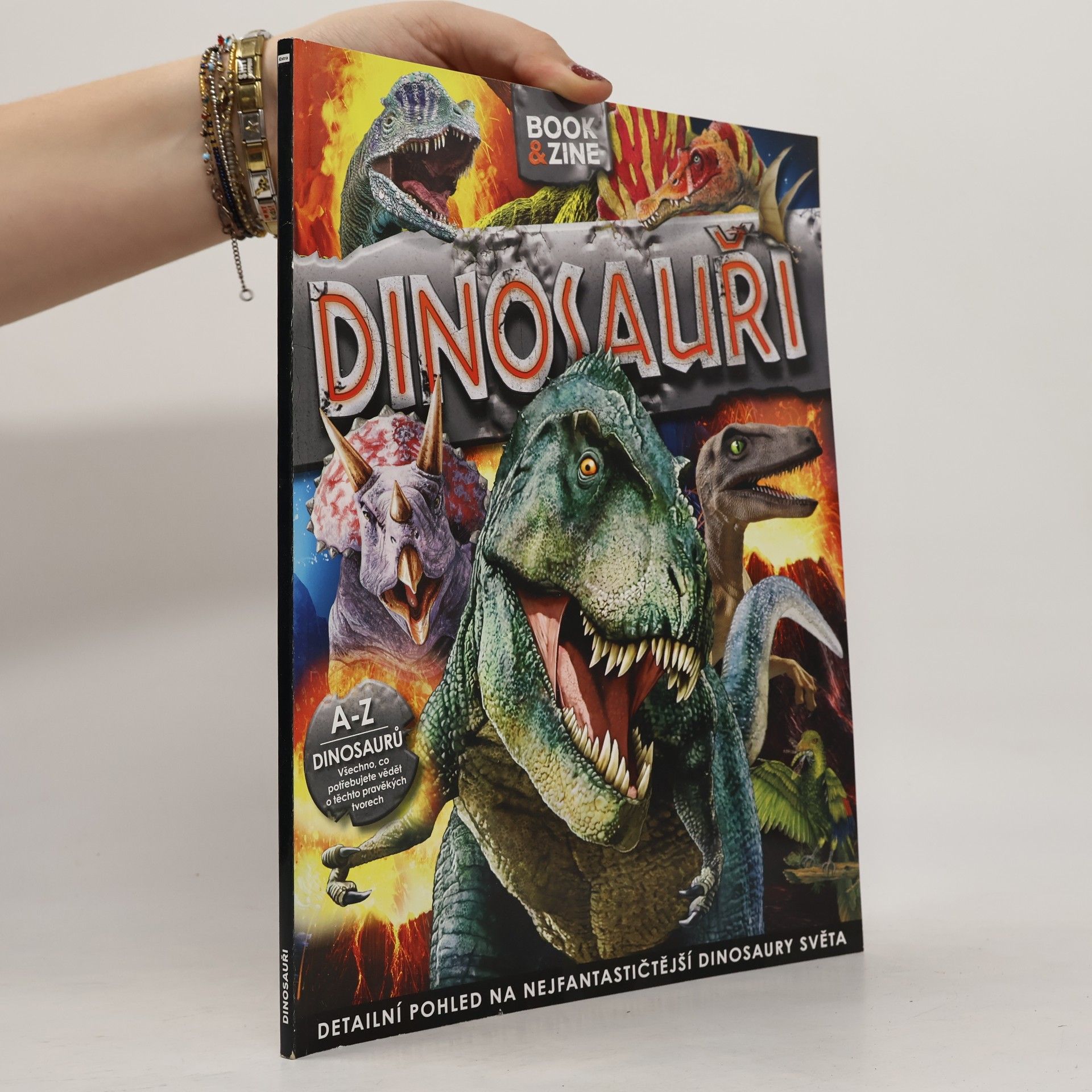 Kolektiv autorů Dinosauři