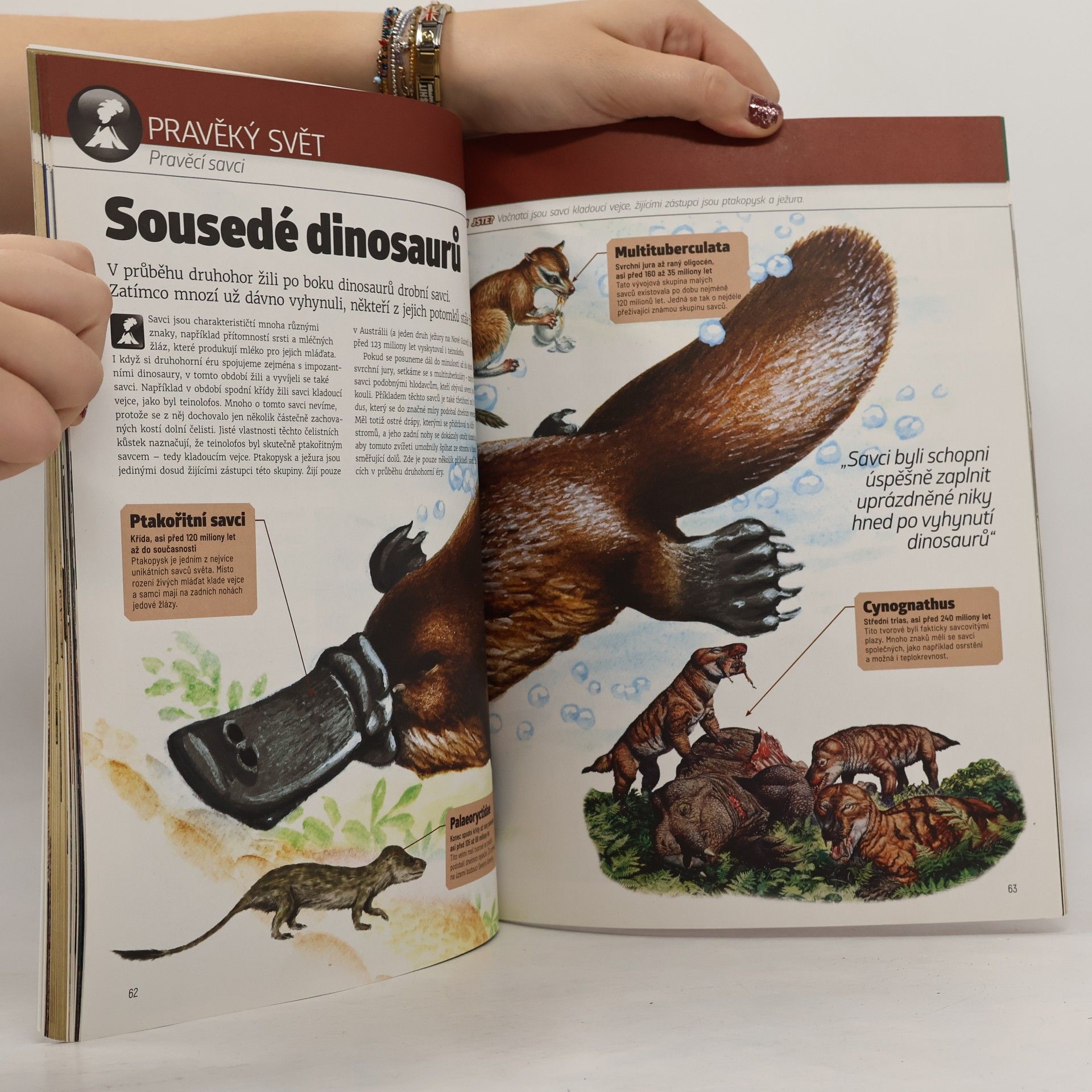 Kolektiv autorů Dinosauři