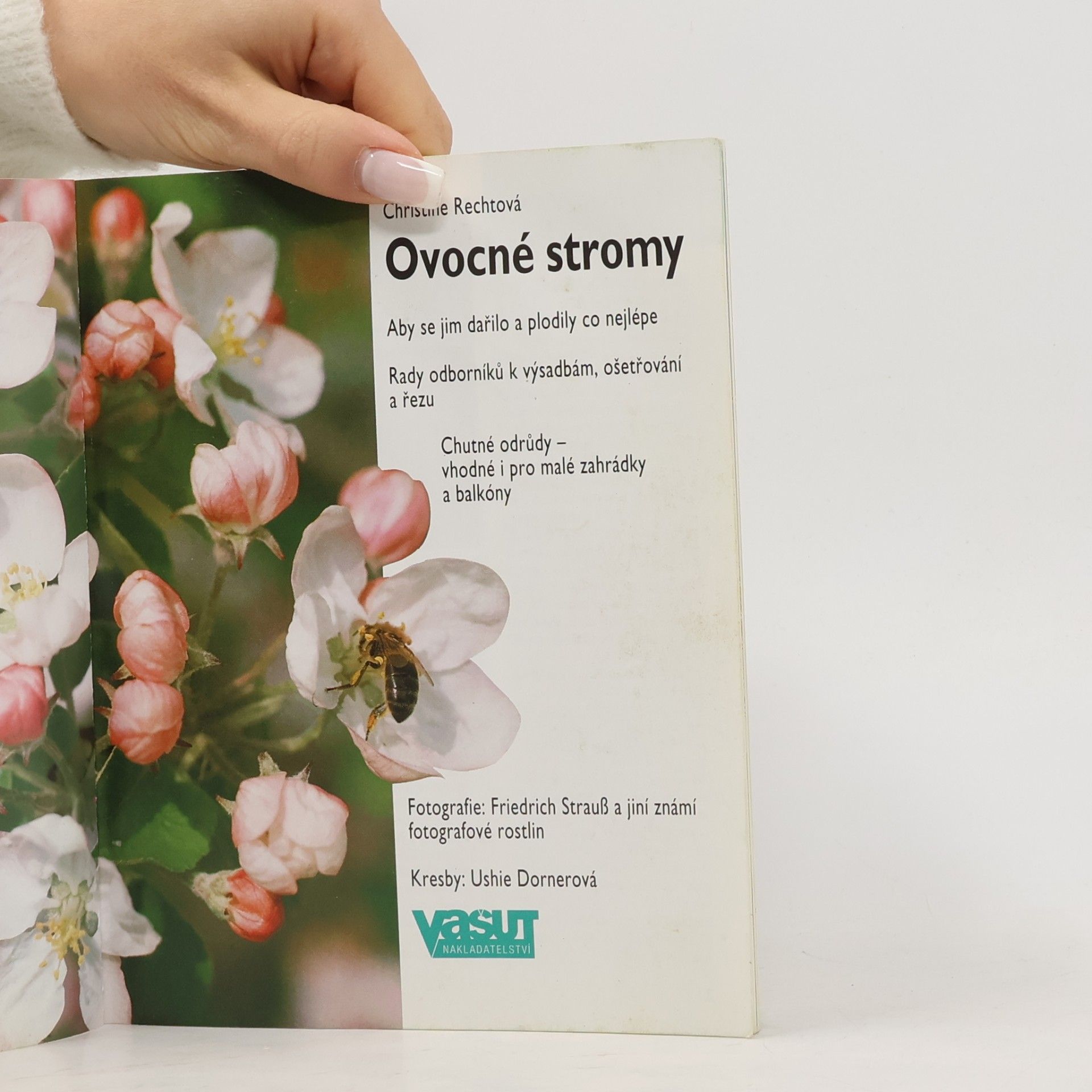 Christine Recht Ovocné stromy