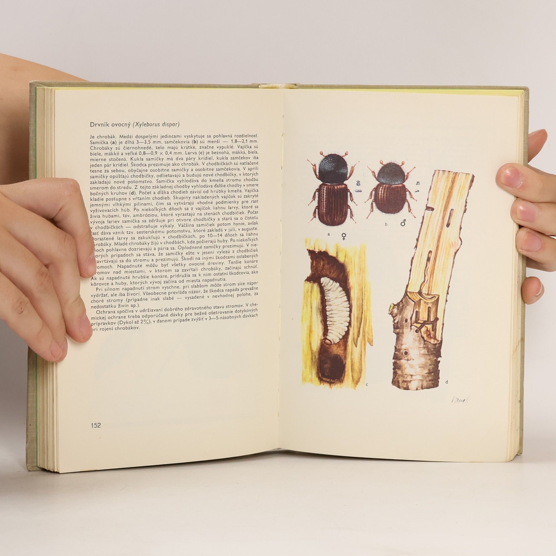 Collectif d'auteurs Atlas chorôb a škodcov ovocnín, viniča a zelenín