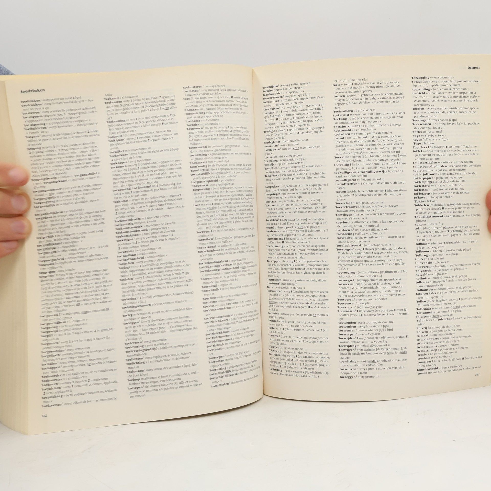AA.VV. Het complete woordenboek Nederlands-Frans & Frans-Nederlands