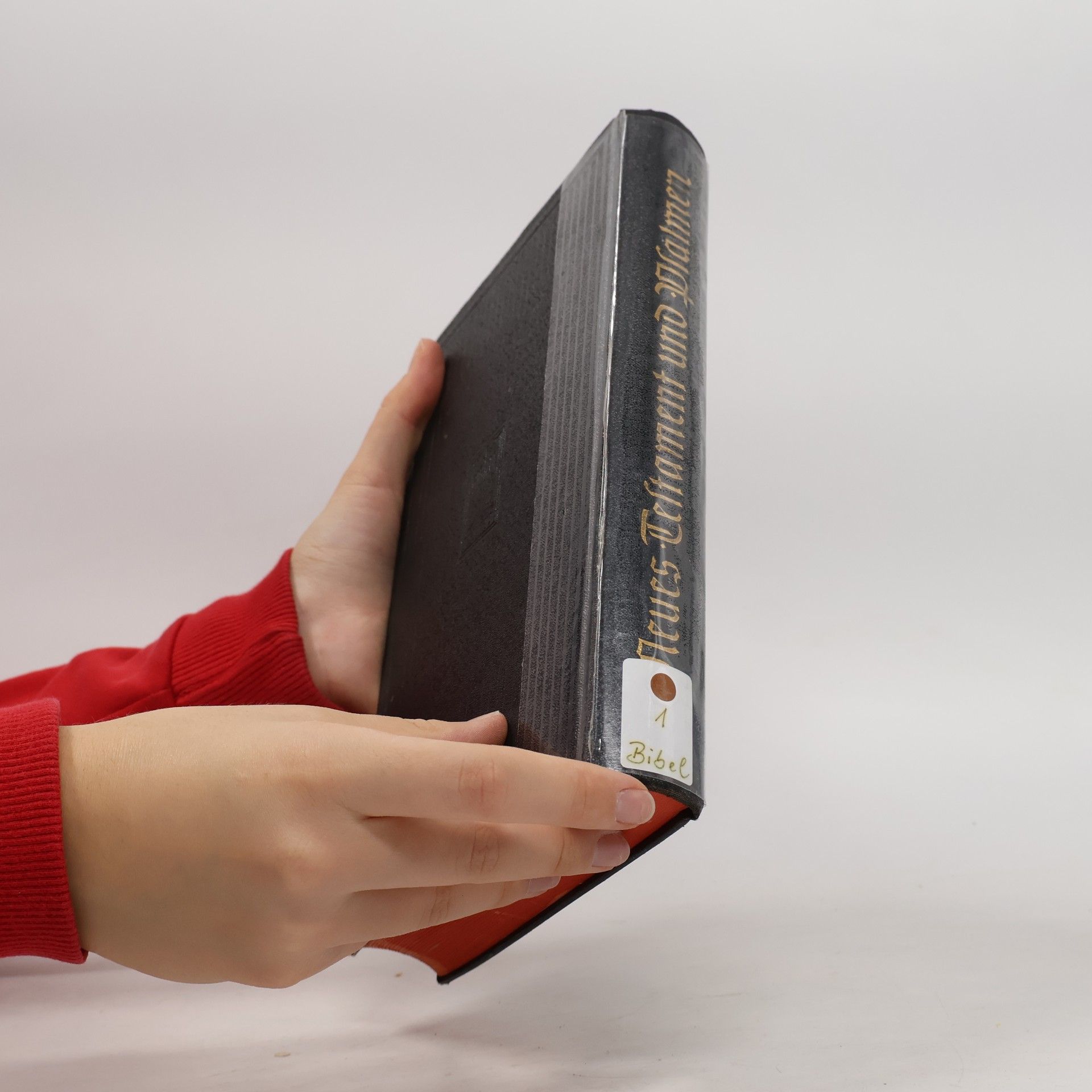Autorenkollektiv Neues Testament und Psalmen