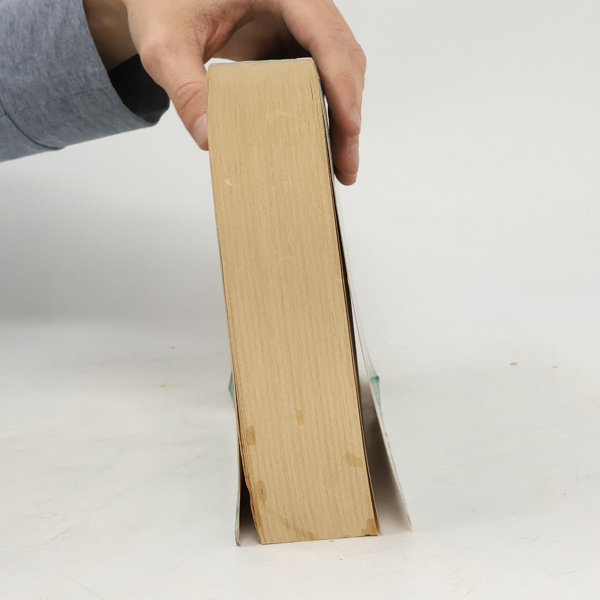 AA.VV. Het complete woordenboek