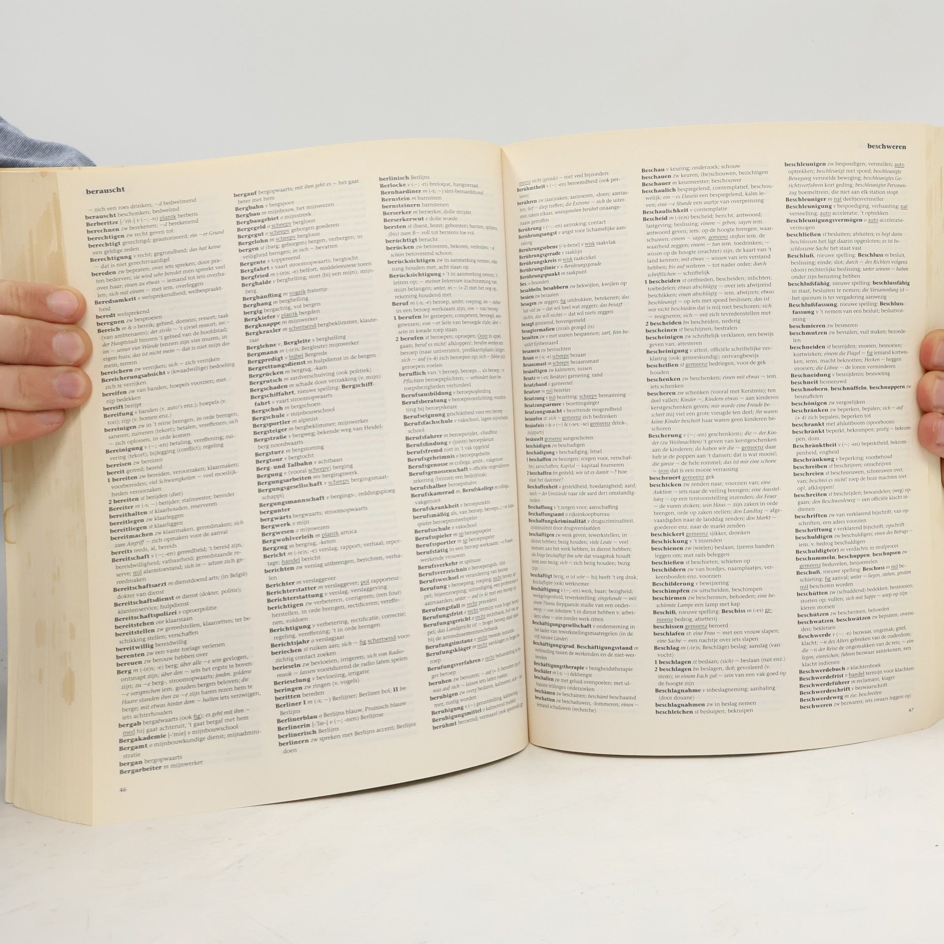 AA.VV. Het complete woordenboek
