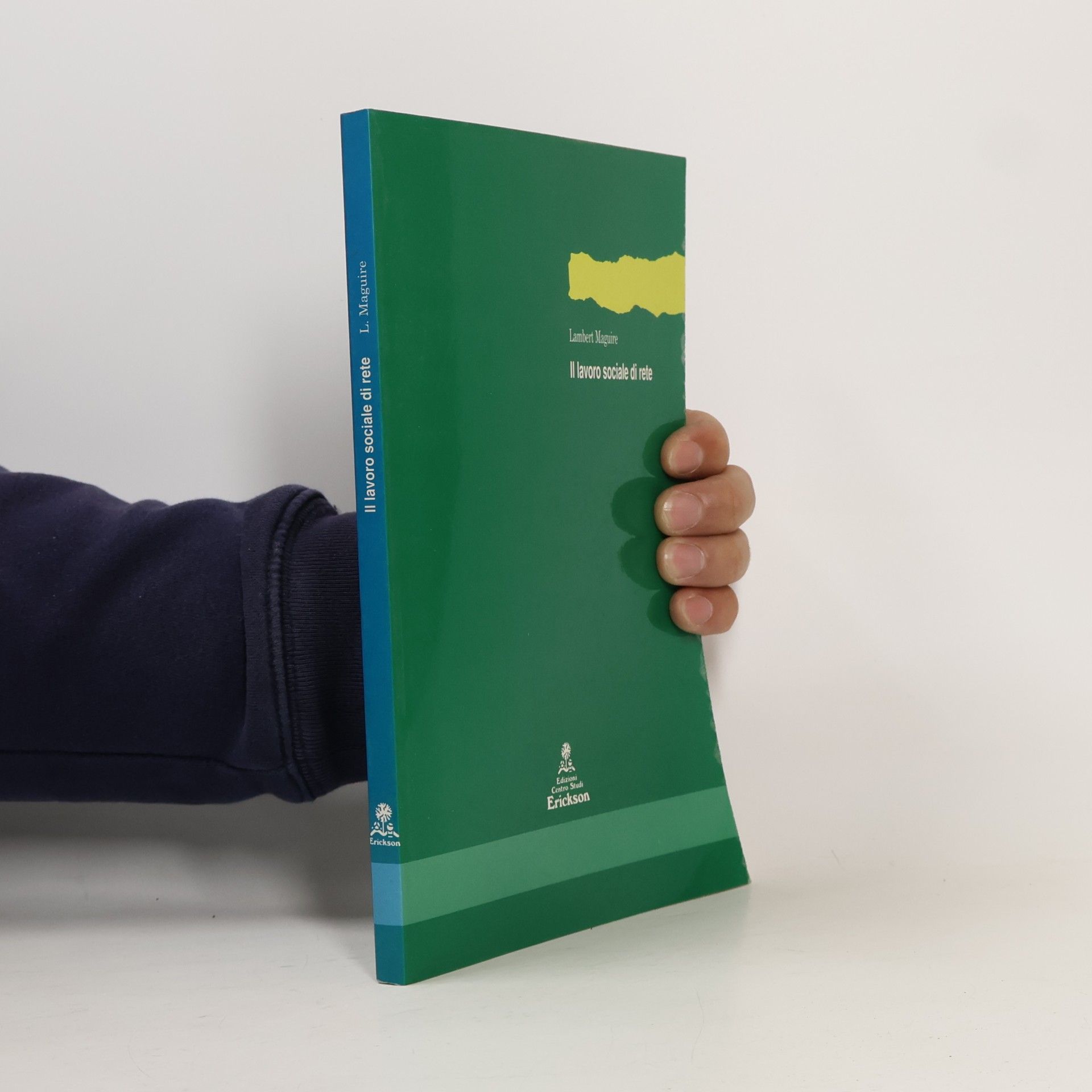 Lambert Maguire Metodi e tecniche del lavoro sociale: Il lavoro sociale di rete