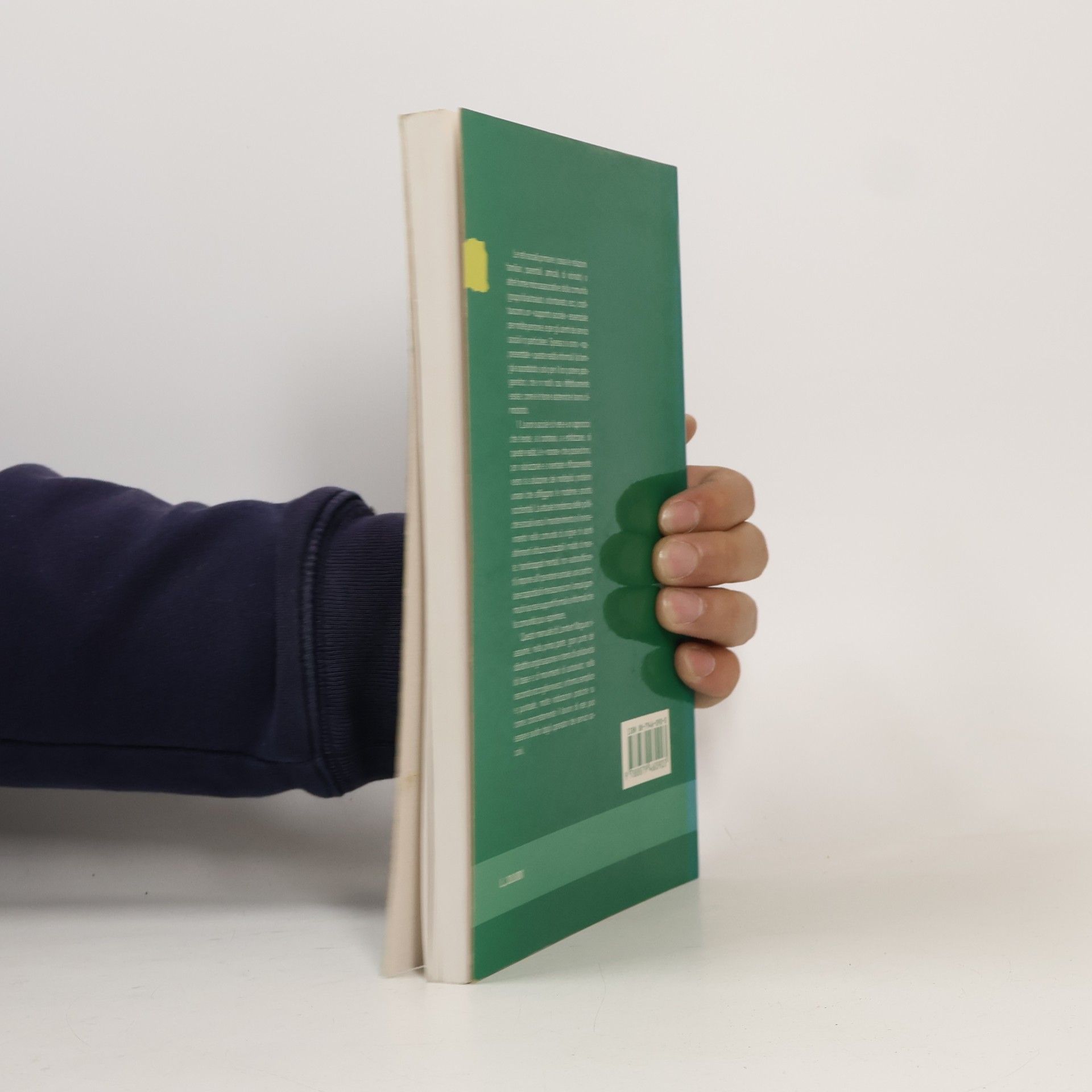 Lambert Maguire Metodi e tecniche del lavoro sociale: Il lavoro sociale di rete