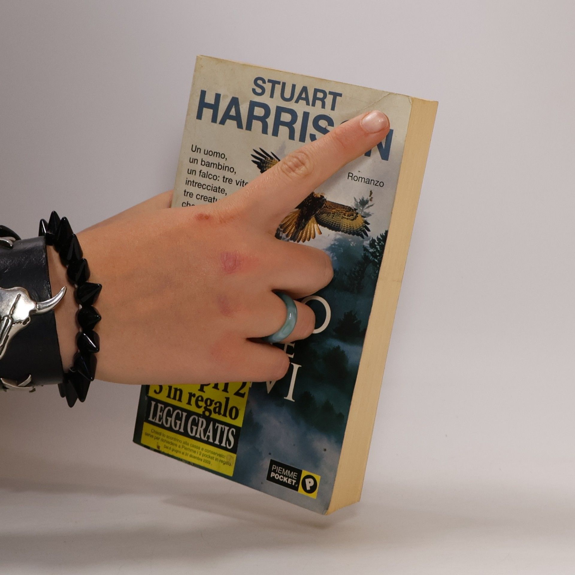 Stuart Harrison Piemme pocket: Il falco delle nevi