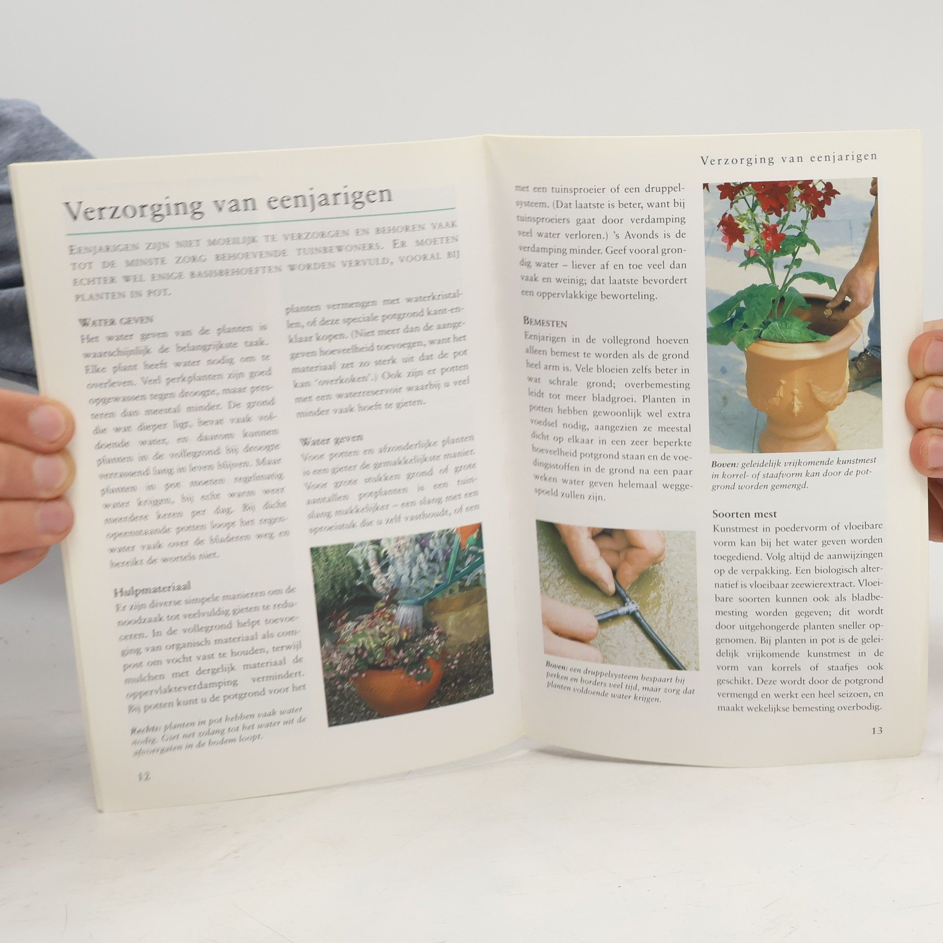Richard Bird Kleur in de tuin met eenjarigen