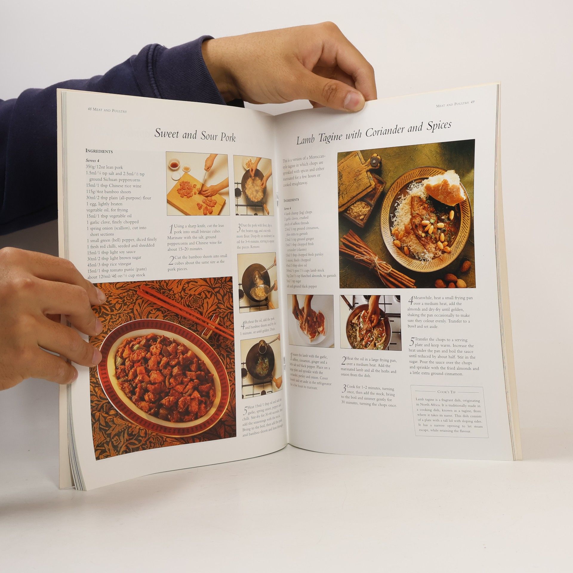 Lucia Perez Best-Ever Spicy Cookbook