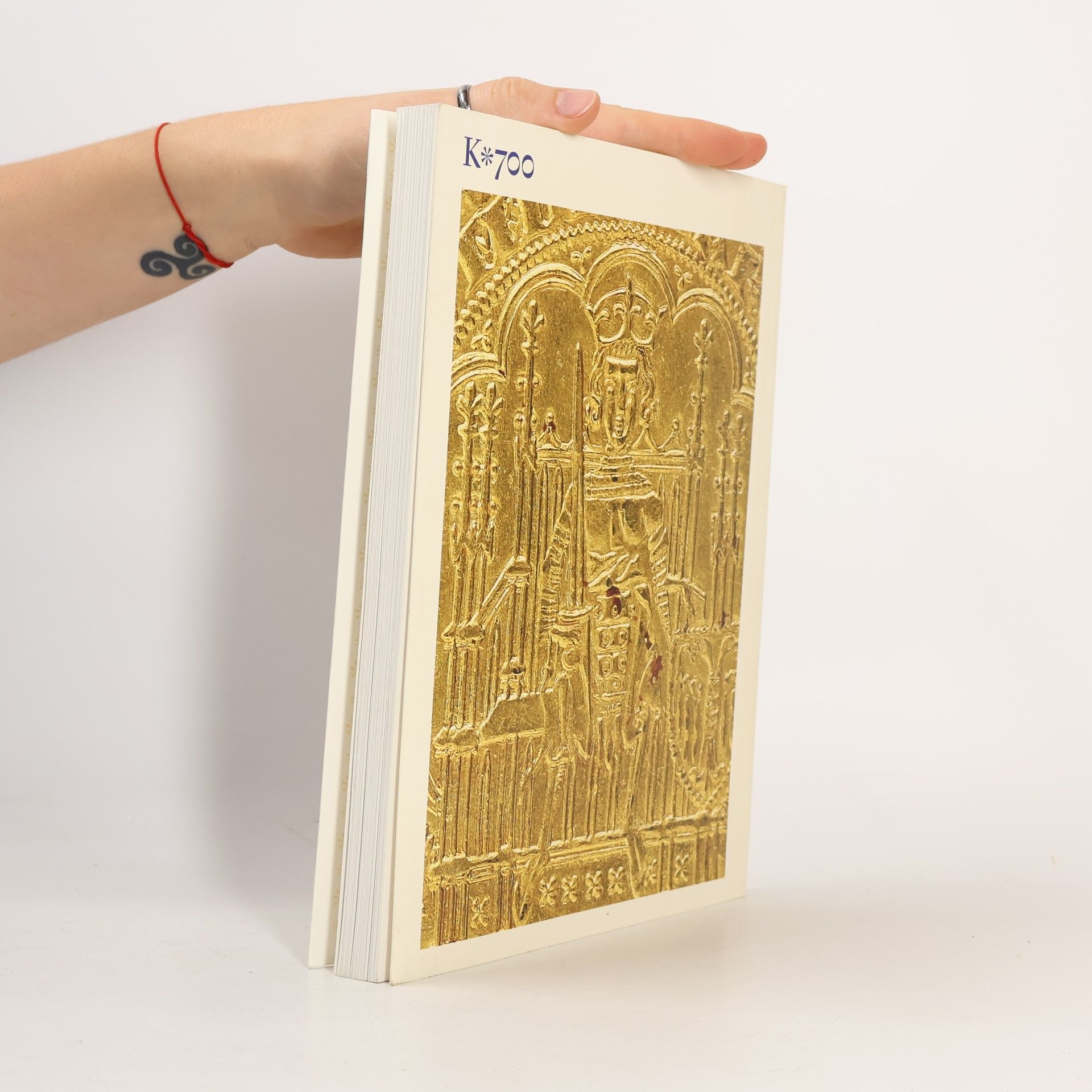 Autorenkollektiv Císař Karel IV. 1316-2016