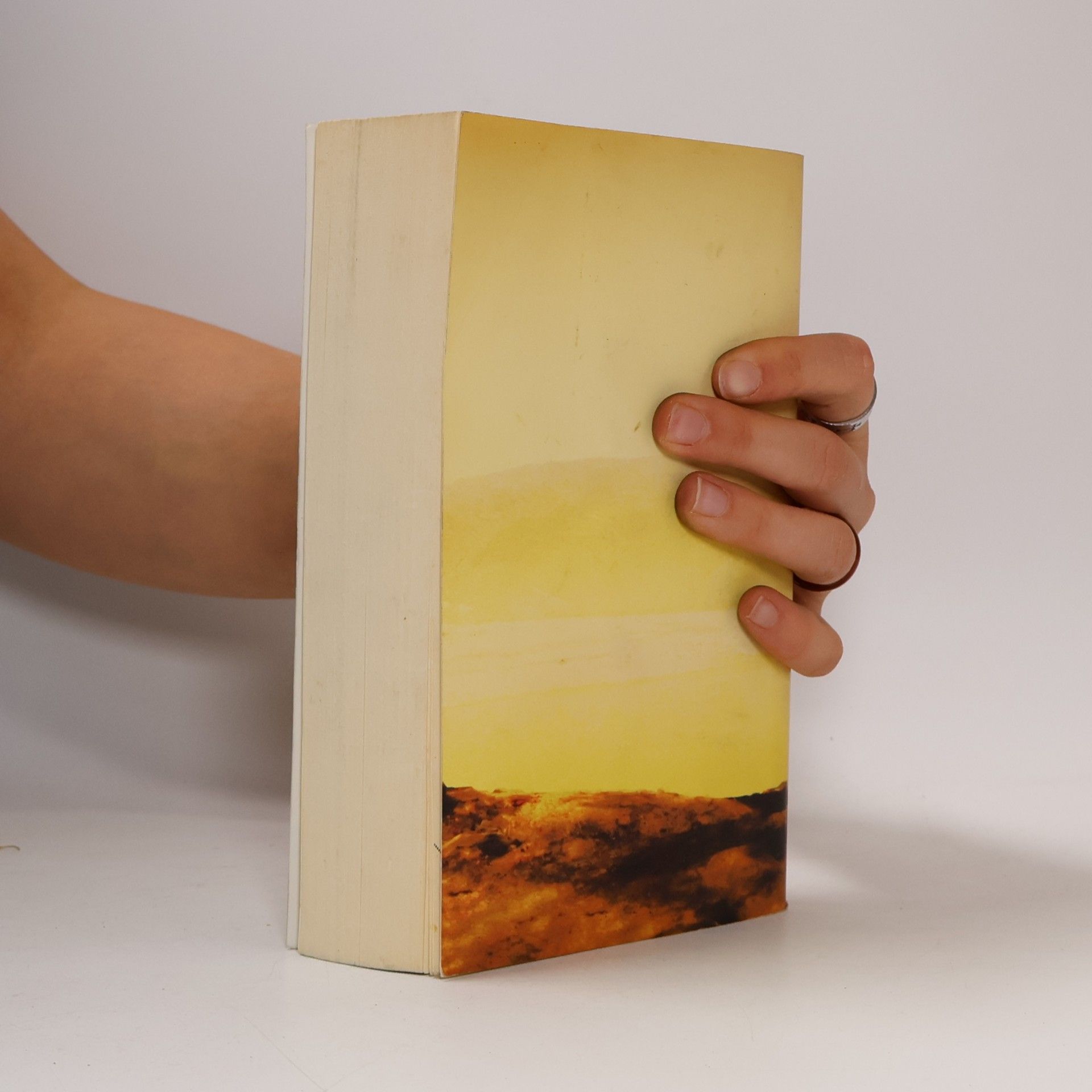 Khaled Hosseini Mille splendidi soli