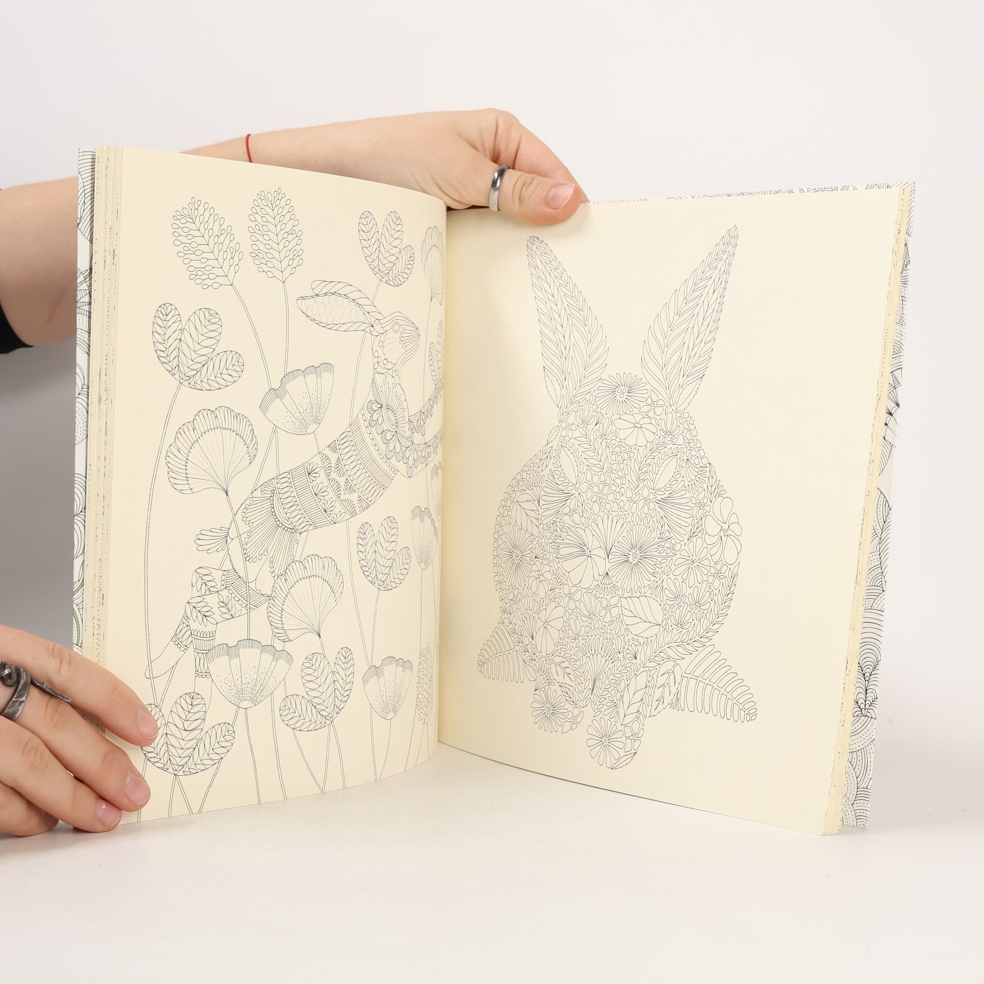 Millie Marotta Fantastische Tierwelt