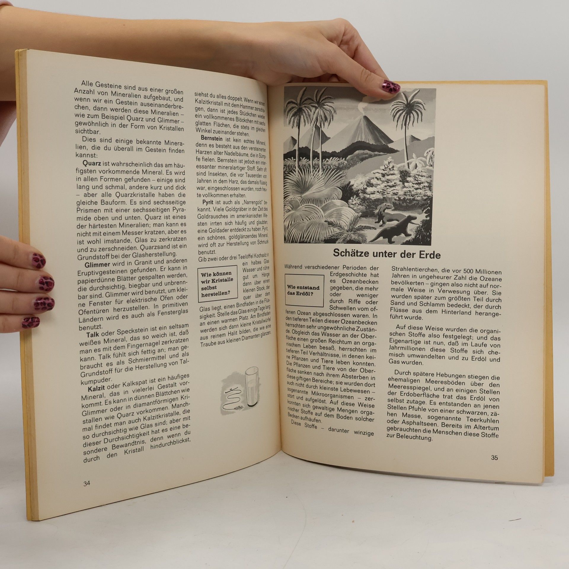 Autorenkollektiv WAS IST WAS Nr. 2: Unsere Erde